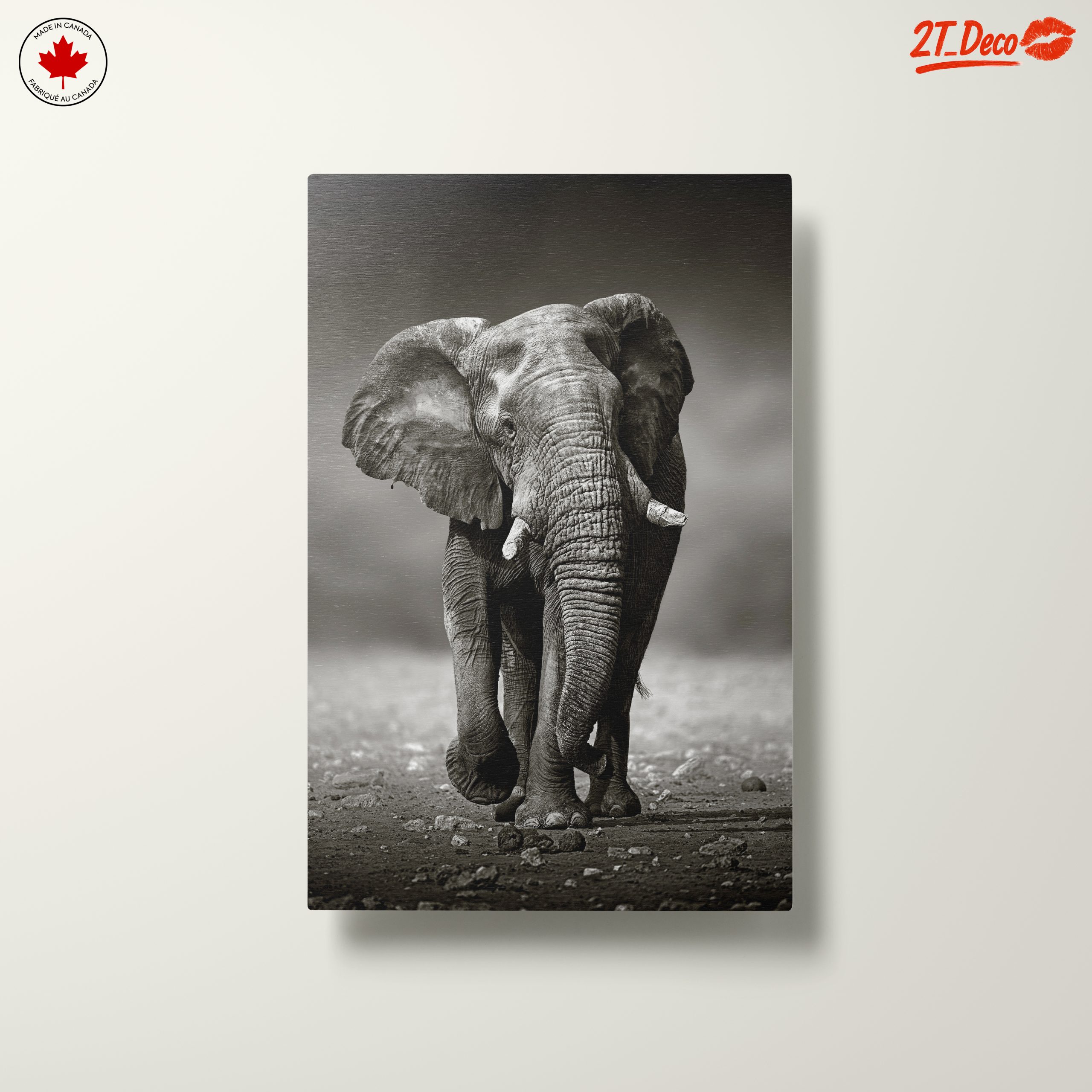 Black and White Elephant - Image 10