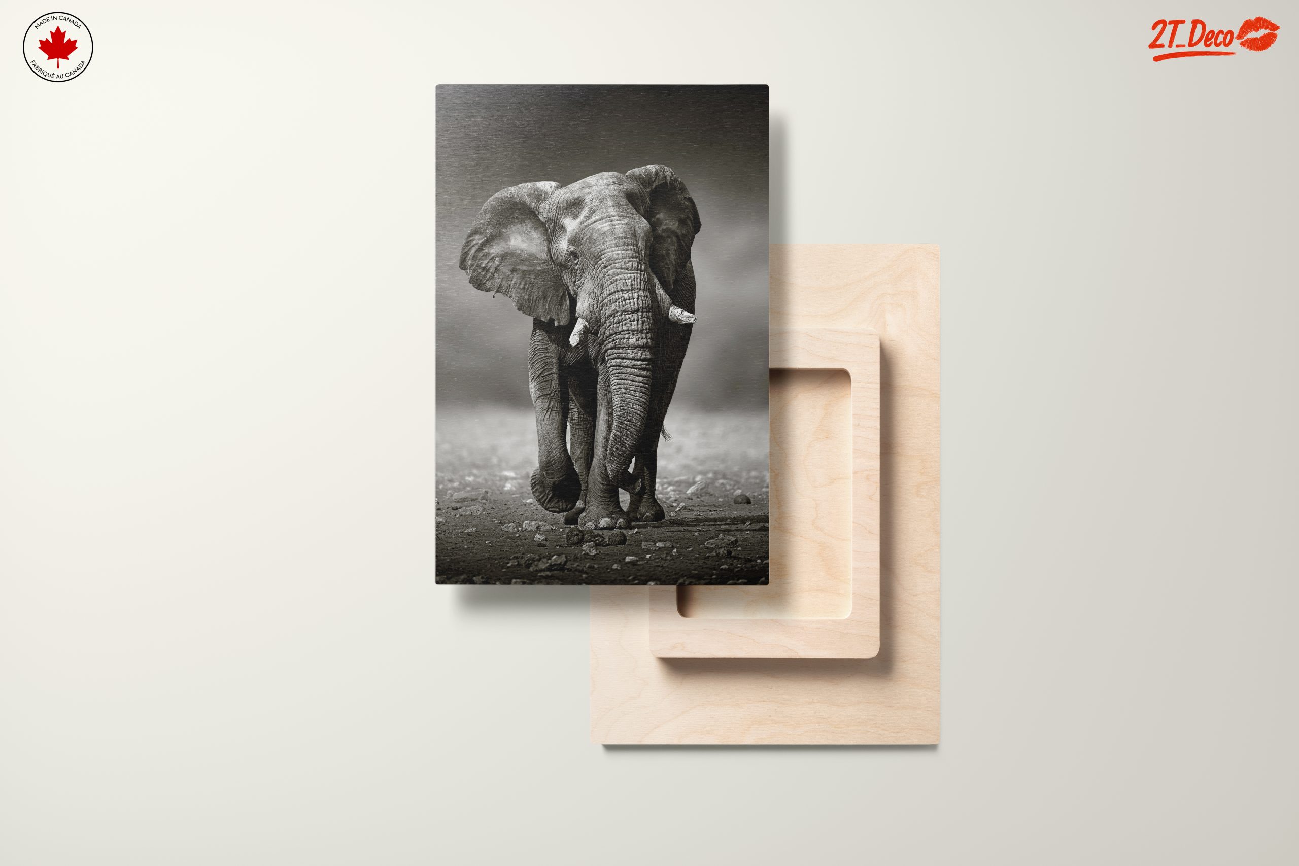 Black and White Elephant - Image 11