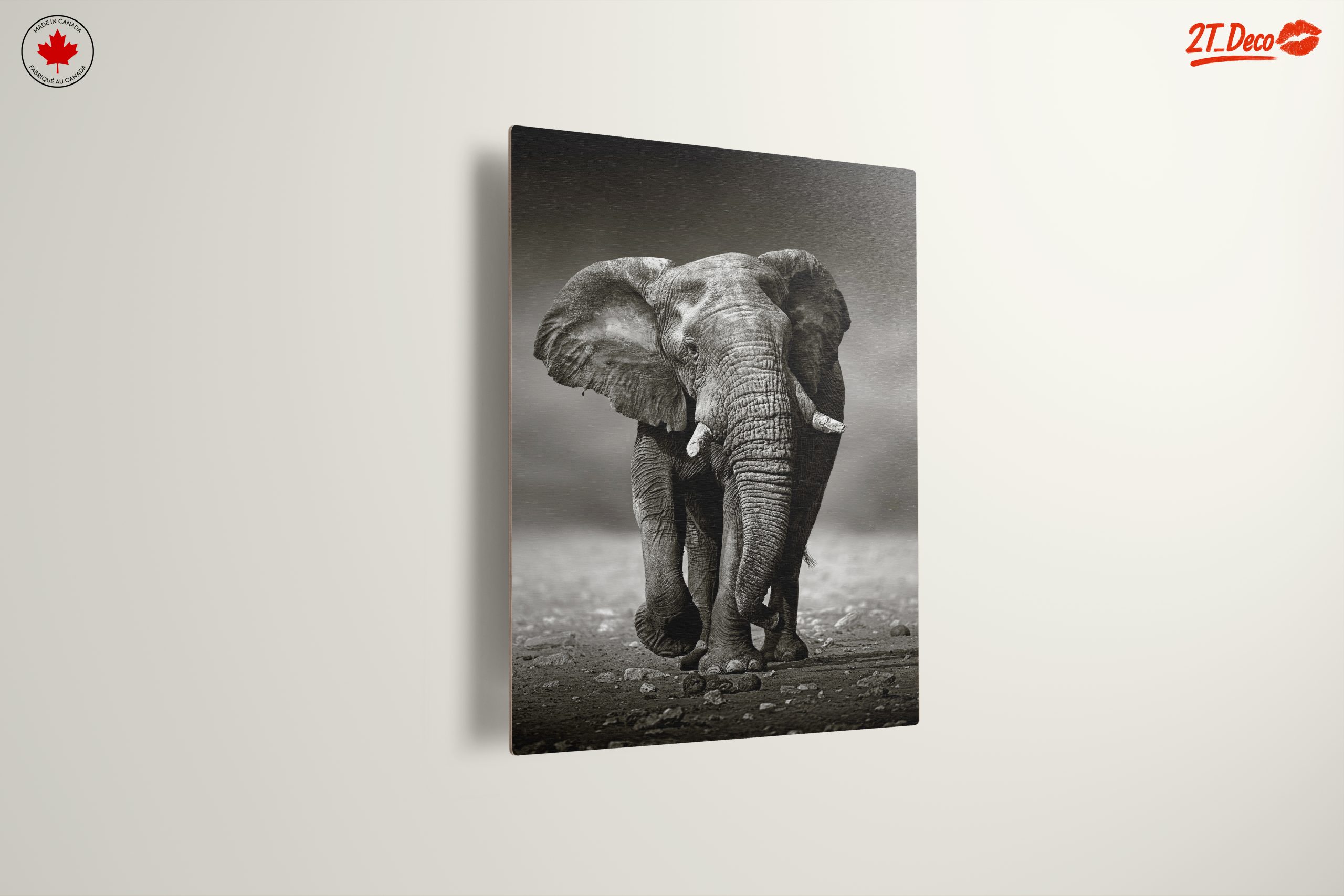 Black and White Elephant - Image 13