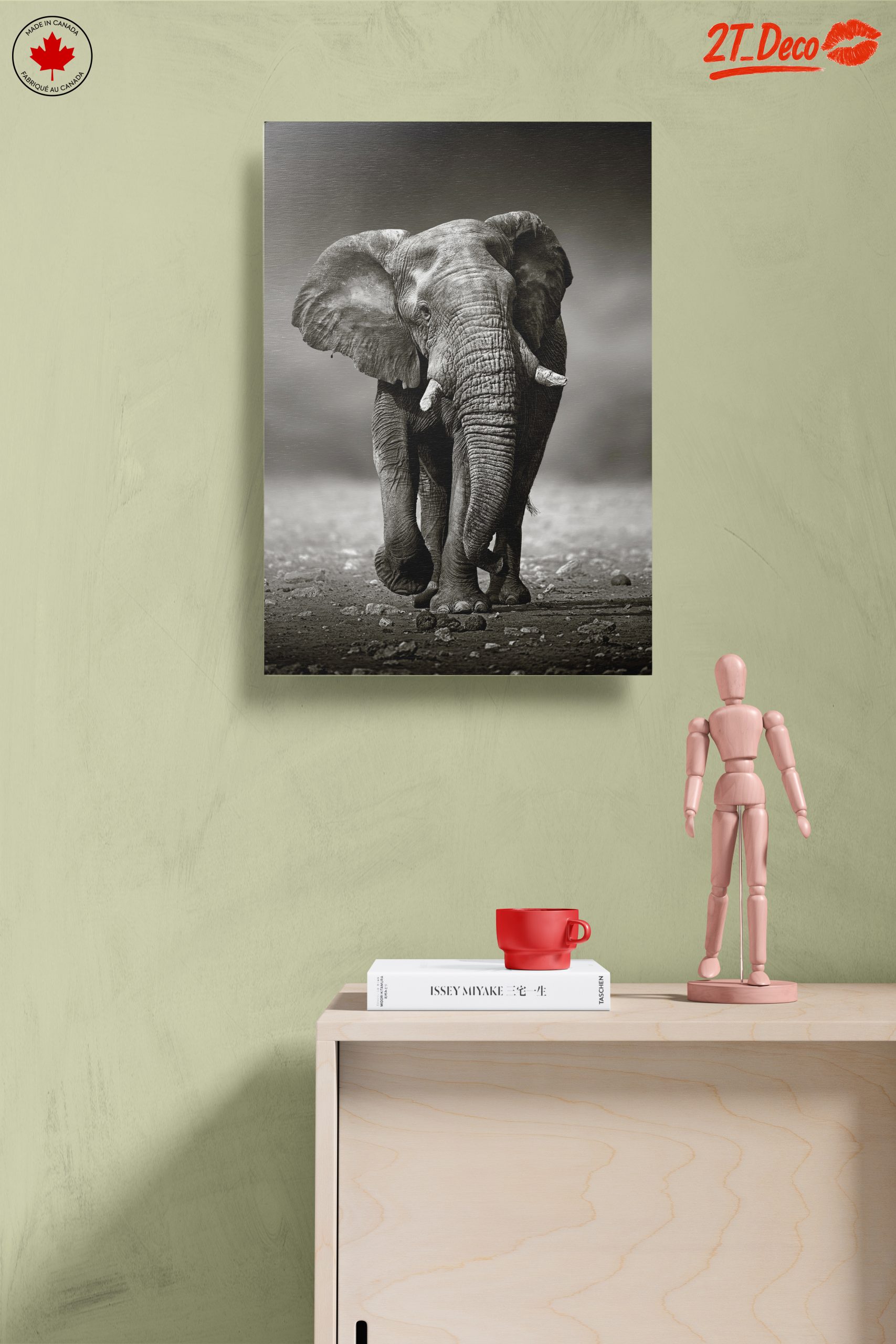 Black and White Elephant - Image 14