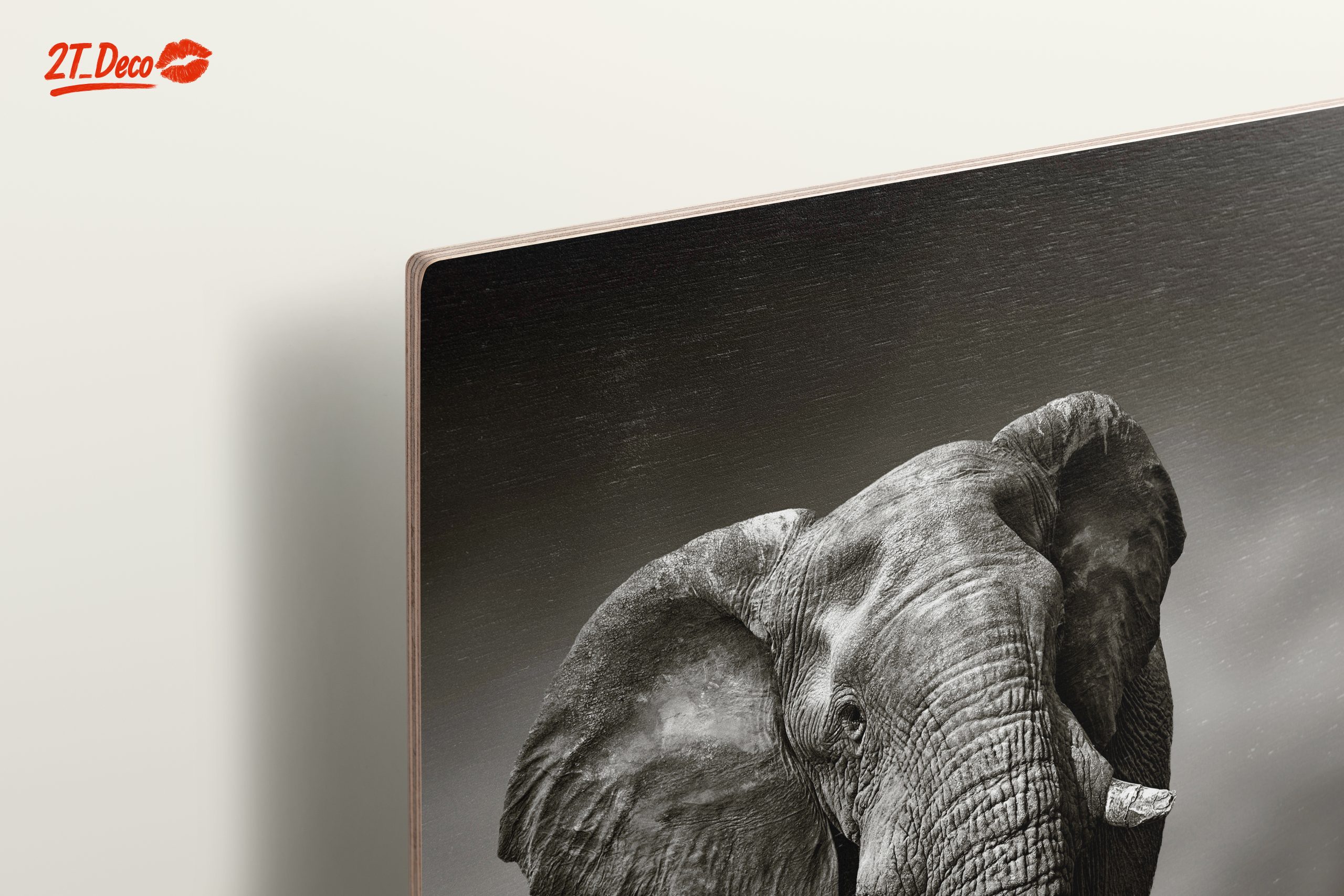 Black and White Elephant - Image 15