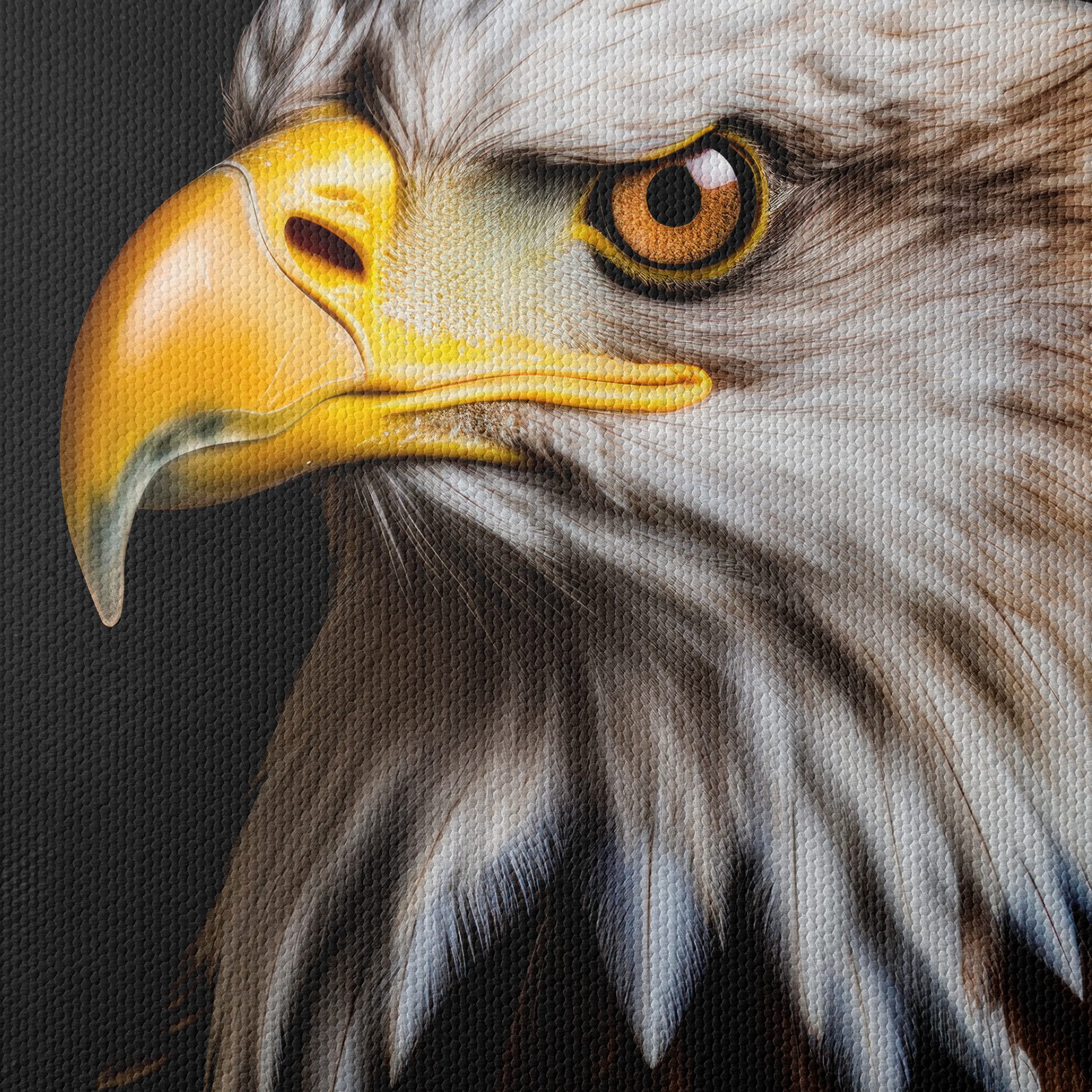 Realistic Eagle Portrait Wall Art - Image 4