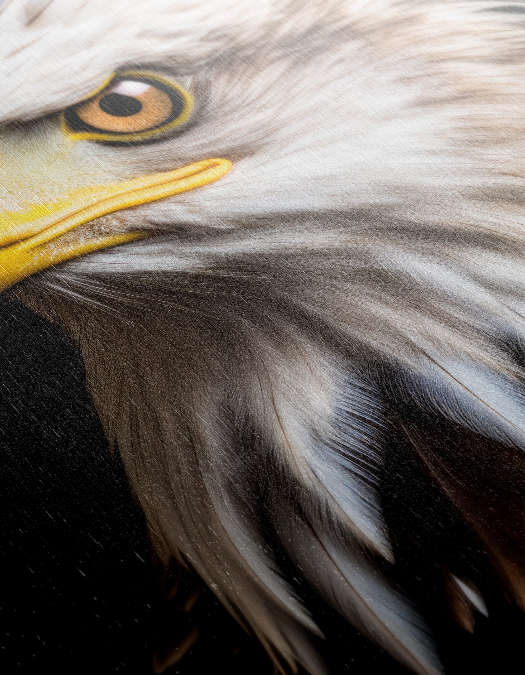 Realistic Eagle Portrait Wall Art - Image 12