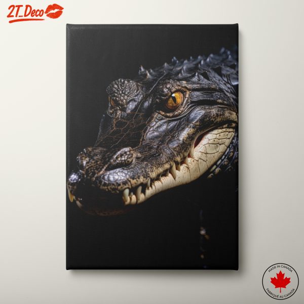 Stunning Alligator Portrait Against Black Background