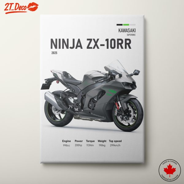 Kawasaki Ninja ZX-10RR Superbike Art