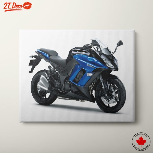 Kawasaki Ninja Motorcycle Art