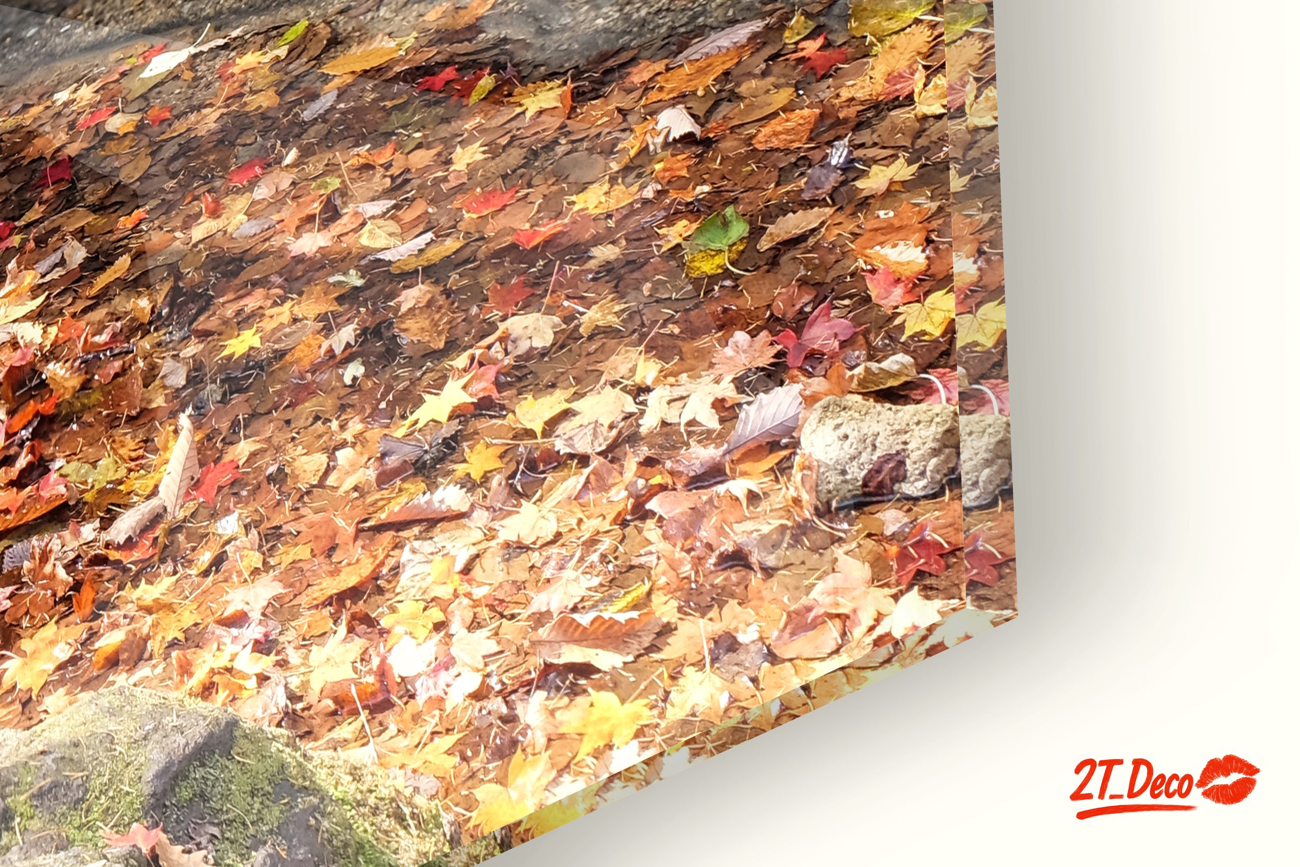 Tranquil Waterfall Amidst Autumn Foliage - Image 9