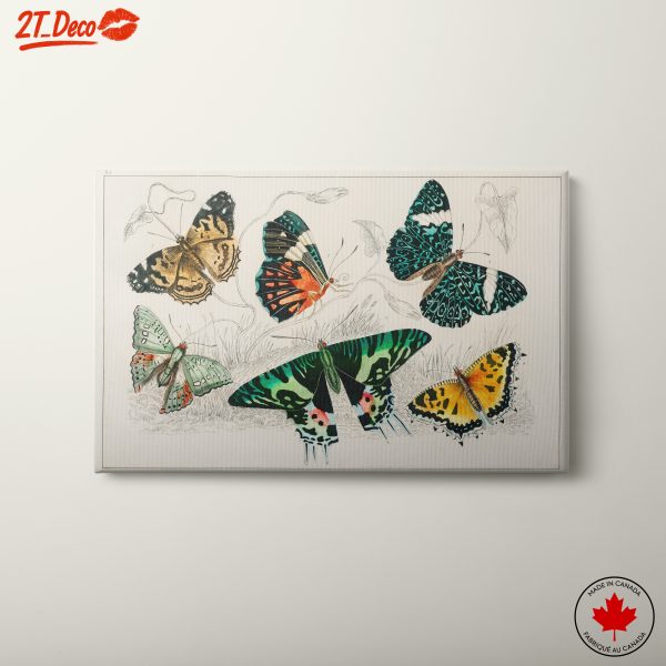Colorful Butterflies Artwork