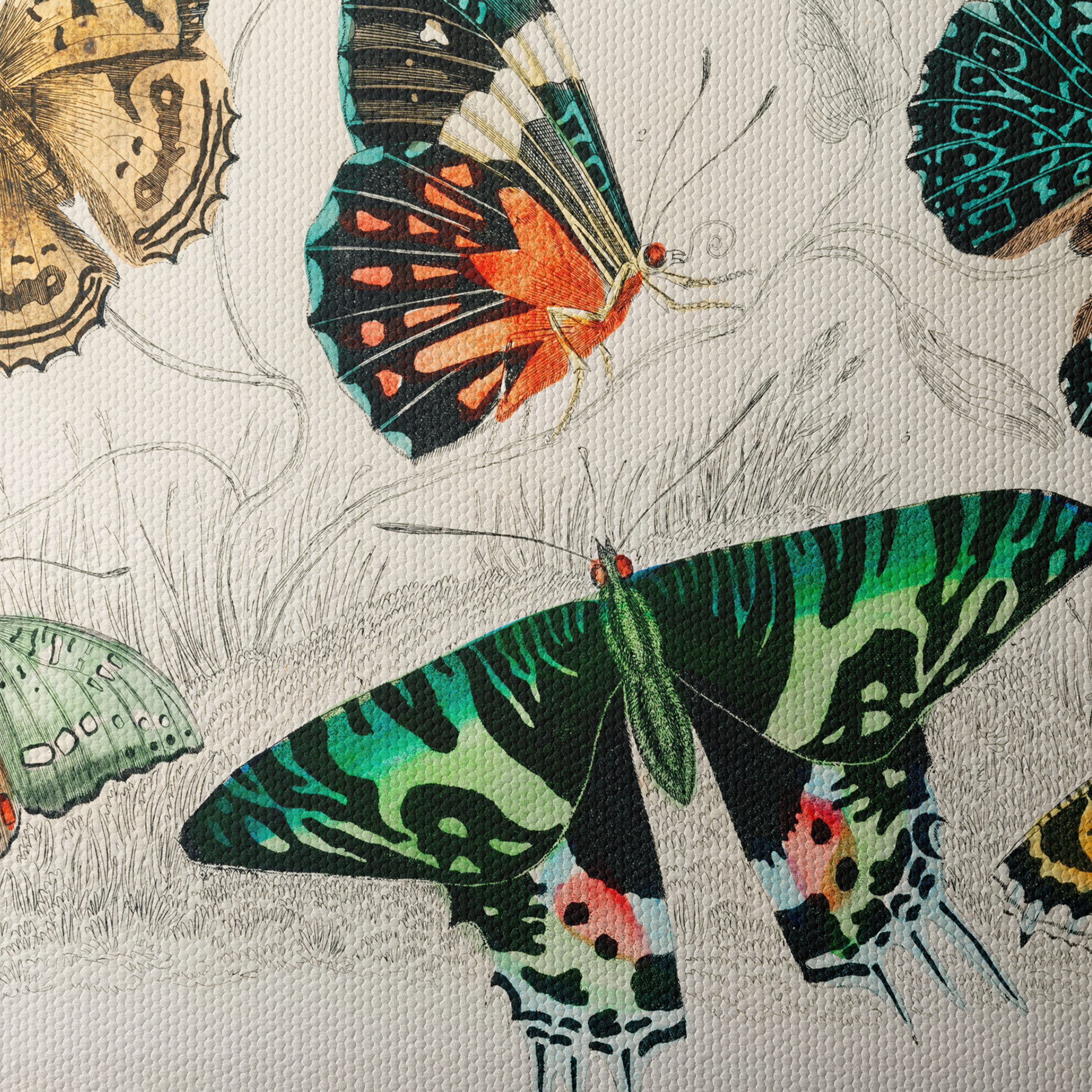 Colorful Butterflies Artwork - Image 4