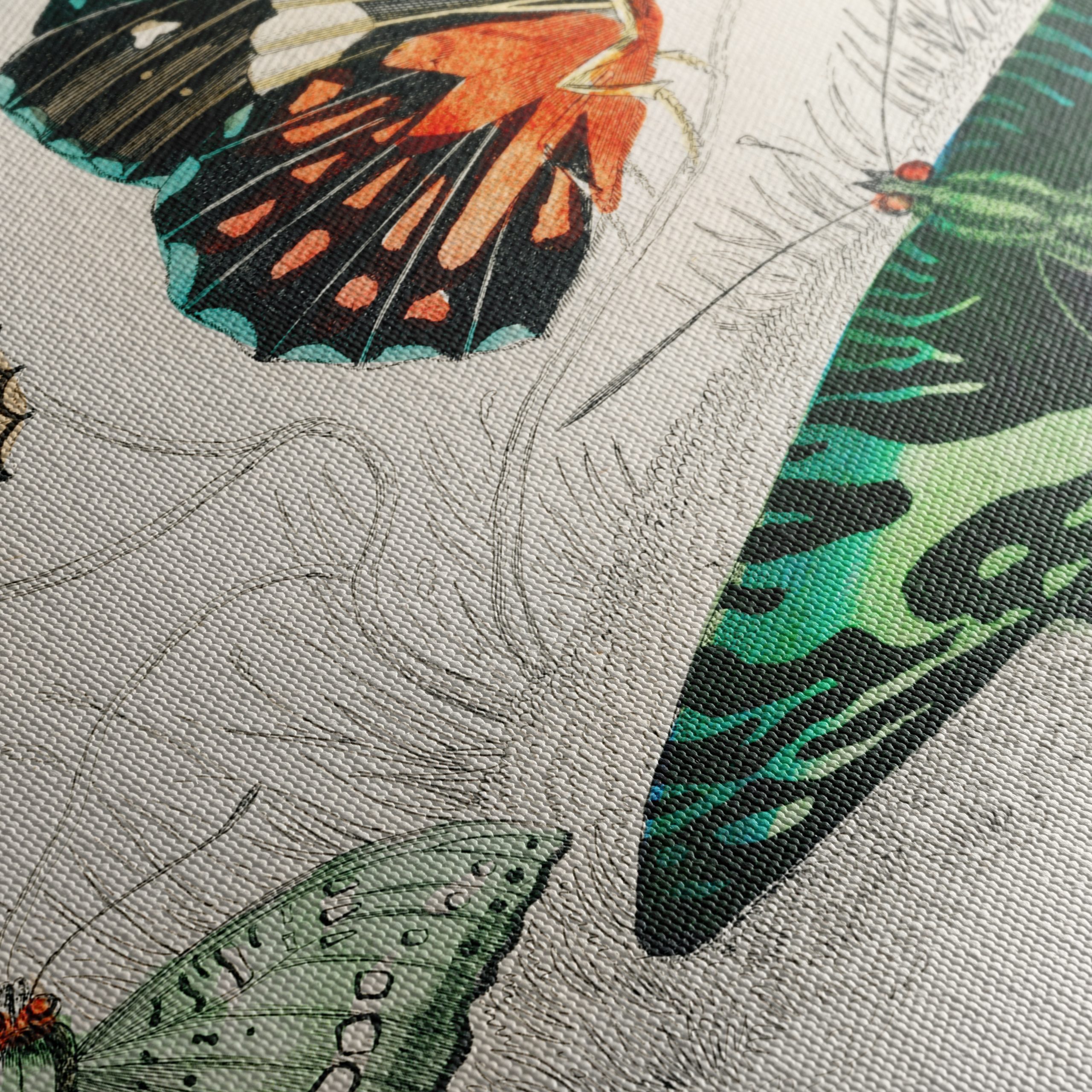 Colorful Butterflies Artwork - Image 5