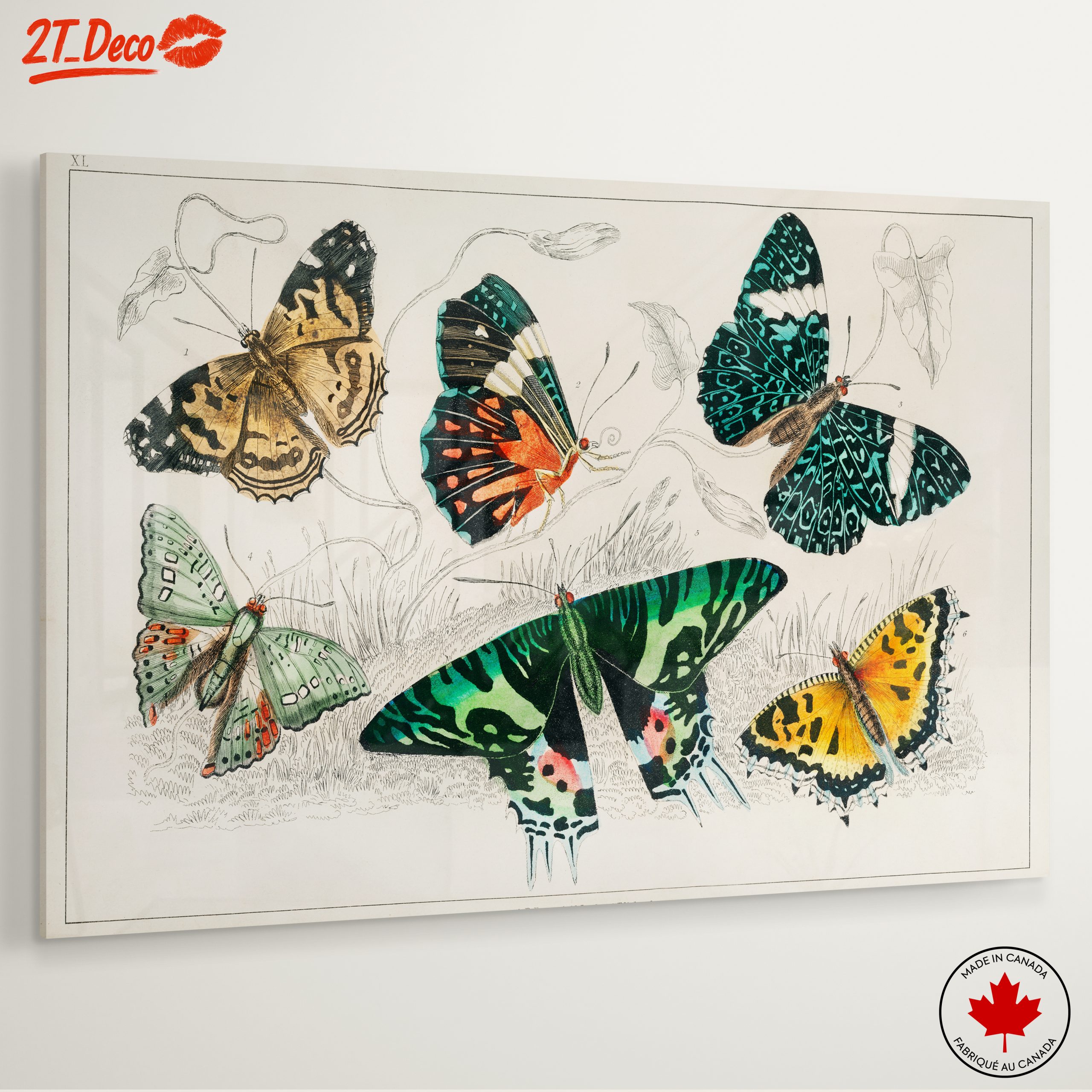 Colorful Butterflies Artwork - Image 6