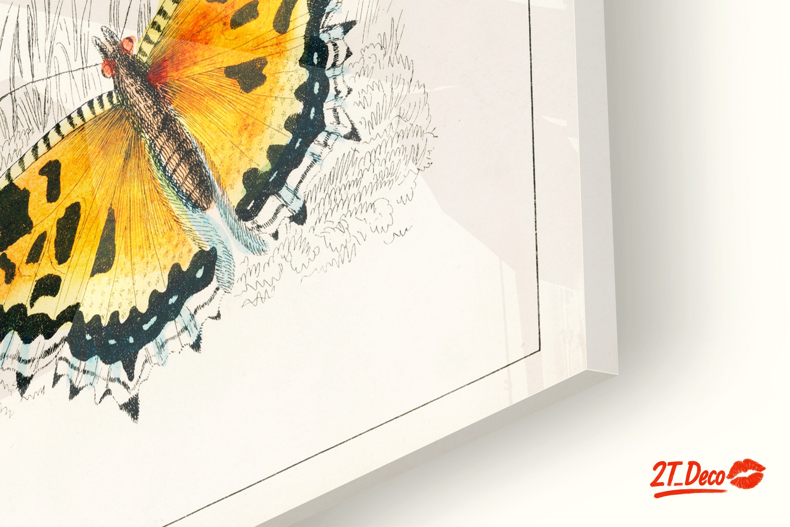 Colorful Butterflies Artwork - Image 9