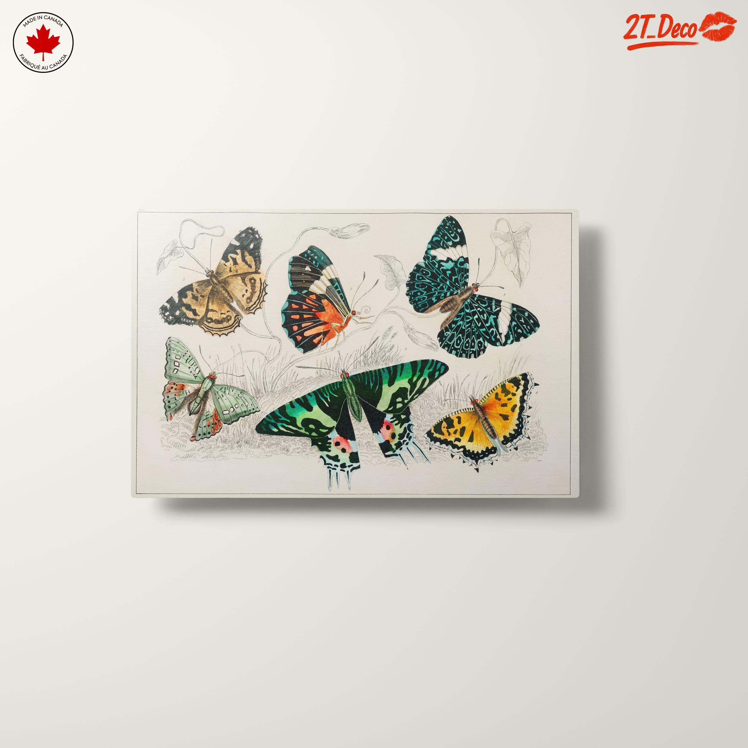 Colorful Butterflies Artwork - Image 10