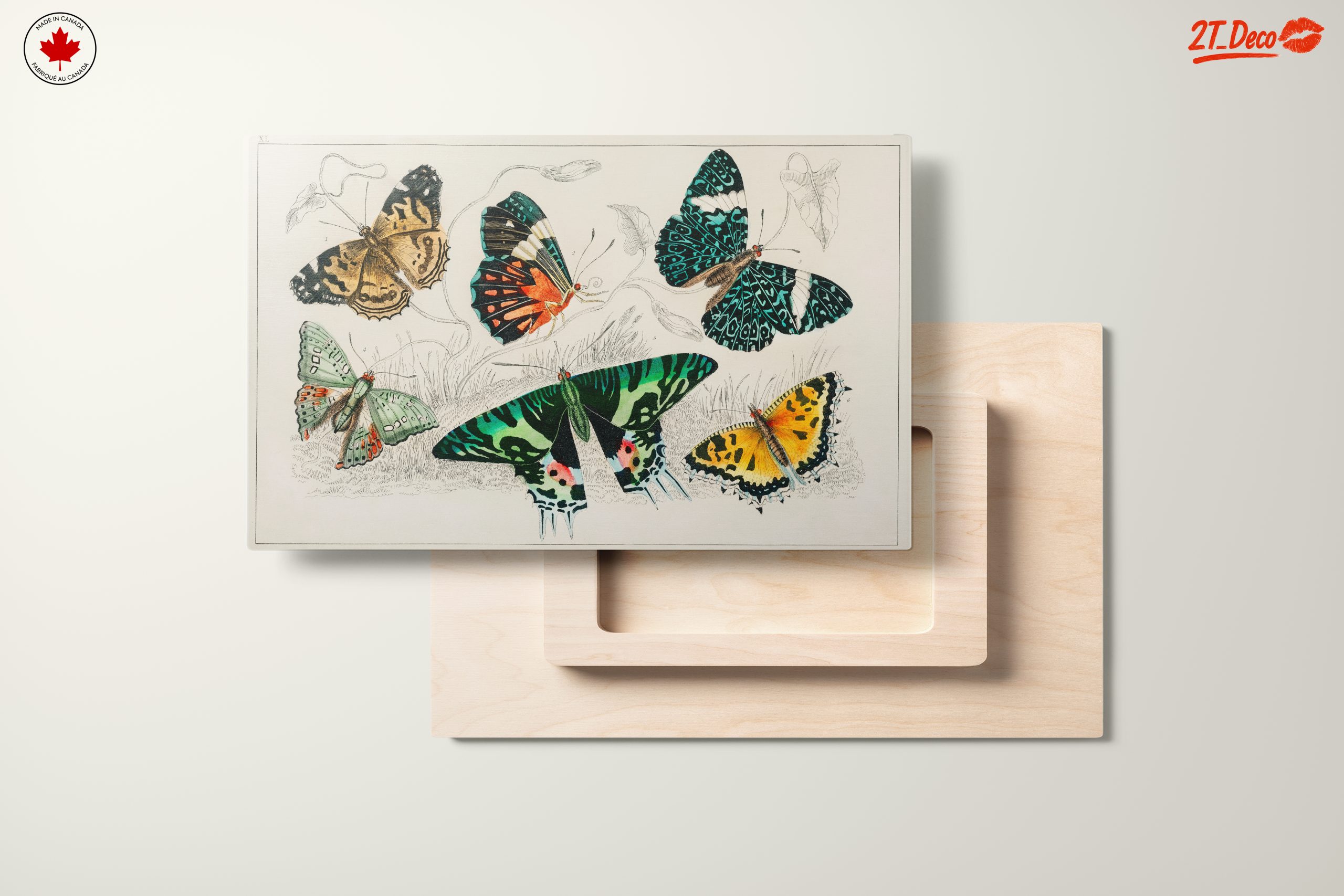 Colorful Butterflies Artwork - Image 11