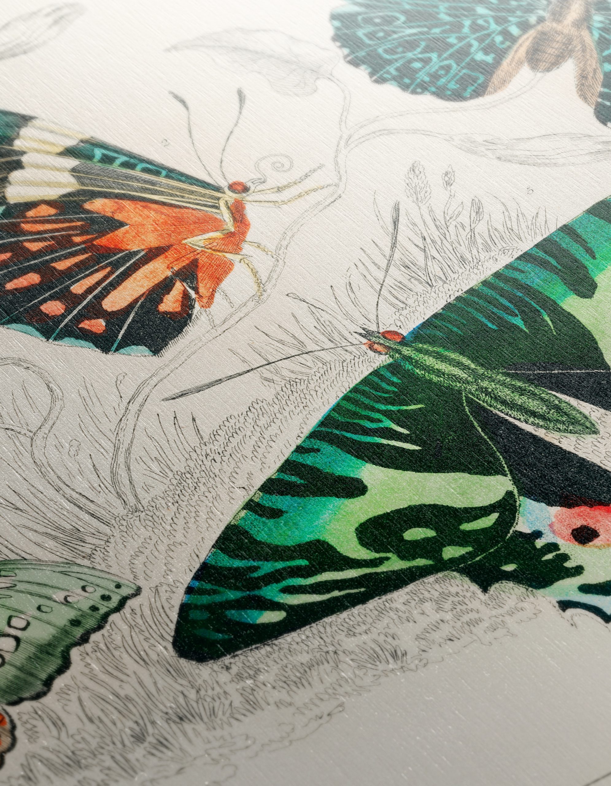 Colorful Butterflies Artwork - Image 12