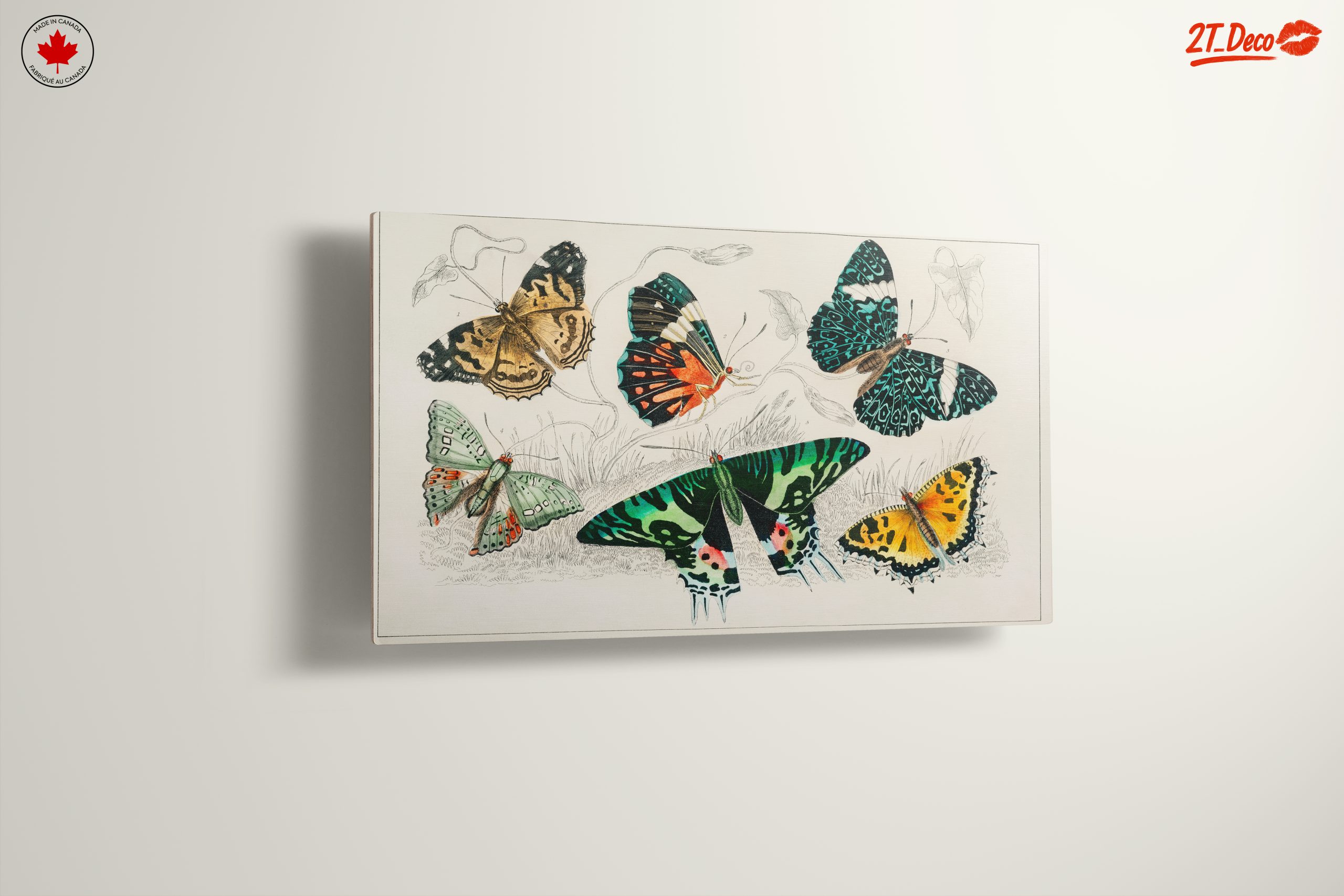 Colorful Butterflies Artwork - Image 13