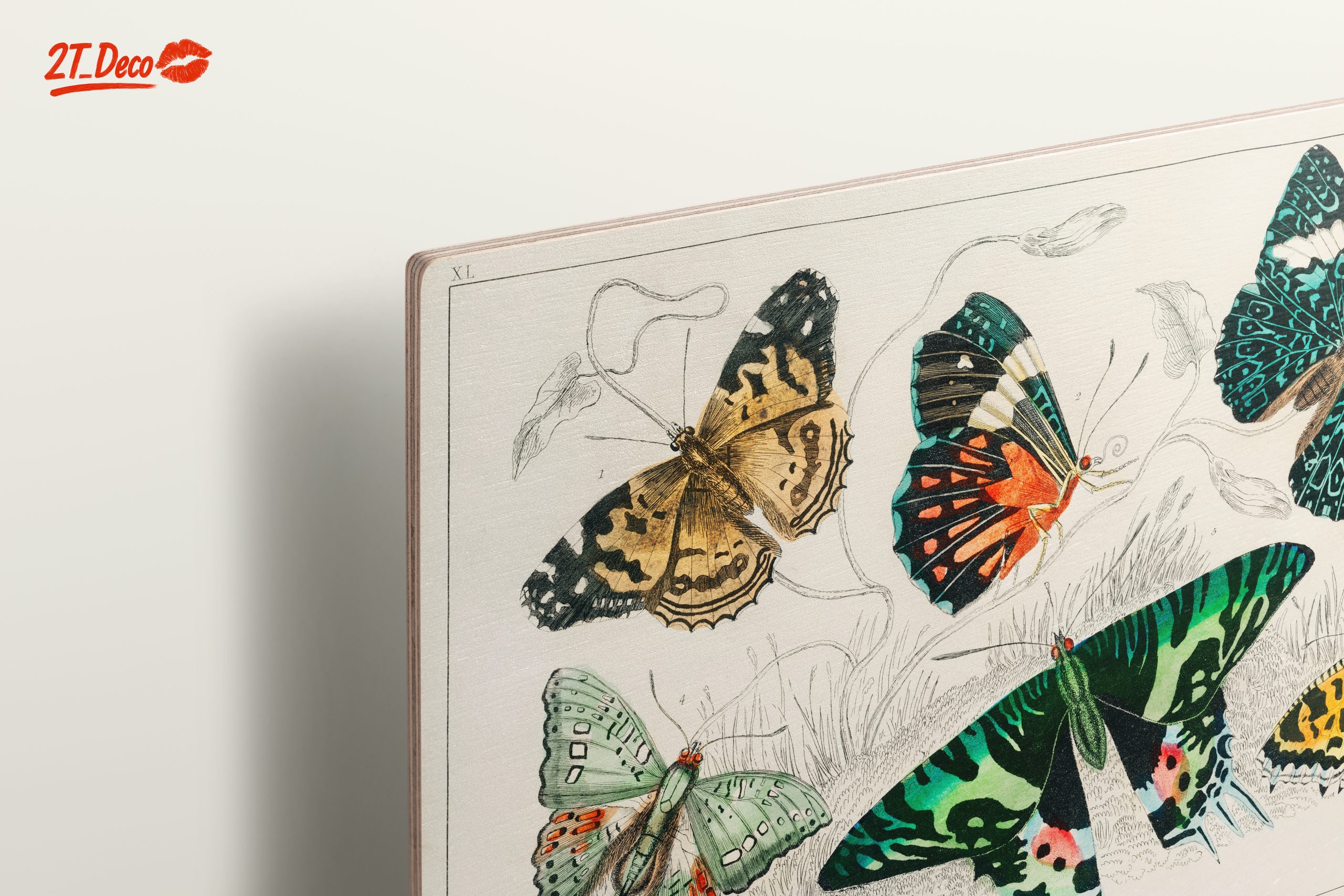 Colorful Butterflies Artwork - Image 15