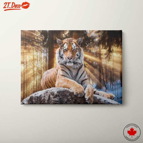 Majestic Tiger in Forest