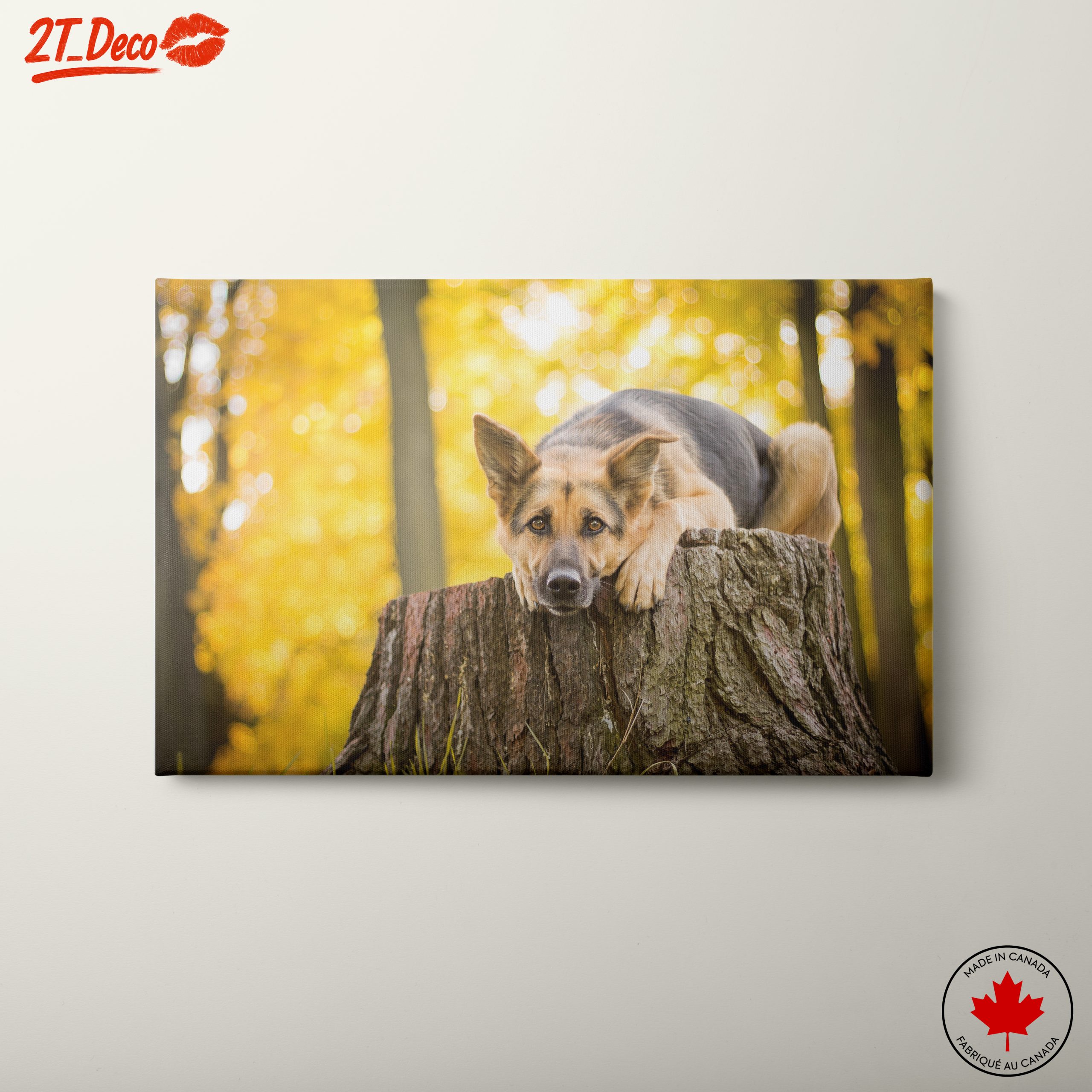 Loyal Dog Resting on Tree Stump