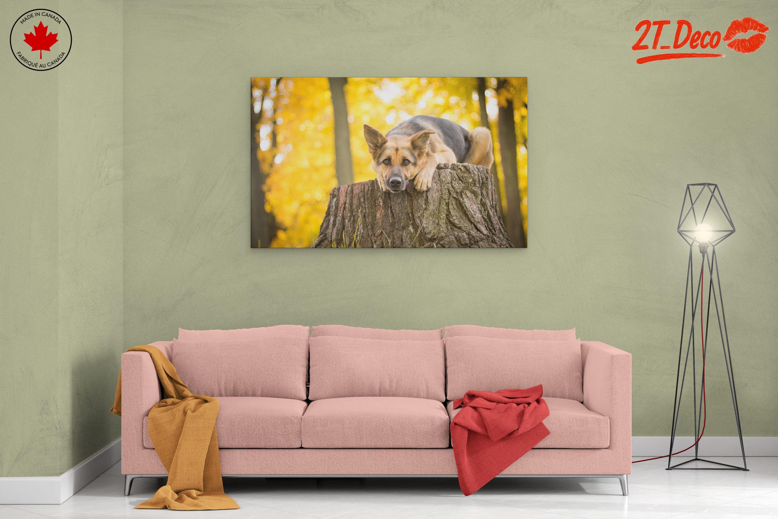 Loyal Dog Resting on Tree Stump - Image 2