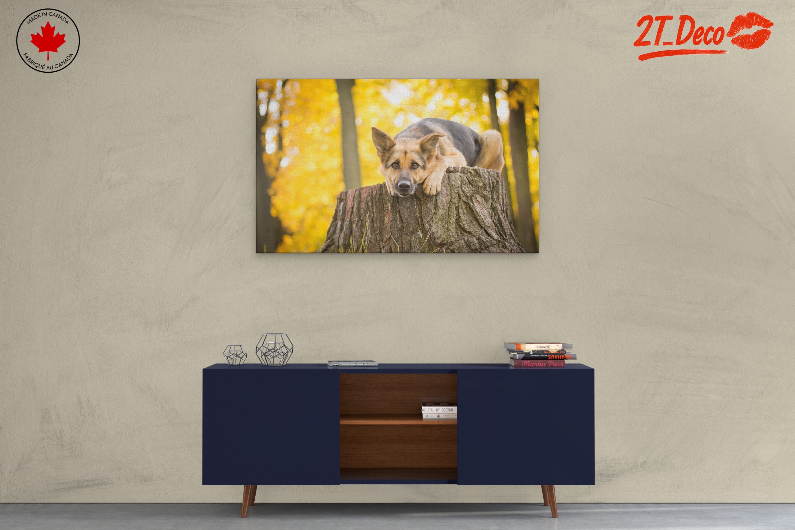 Loyal Dog Resting on Tree Stump - Image 3