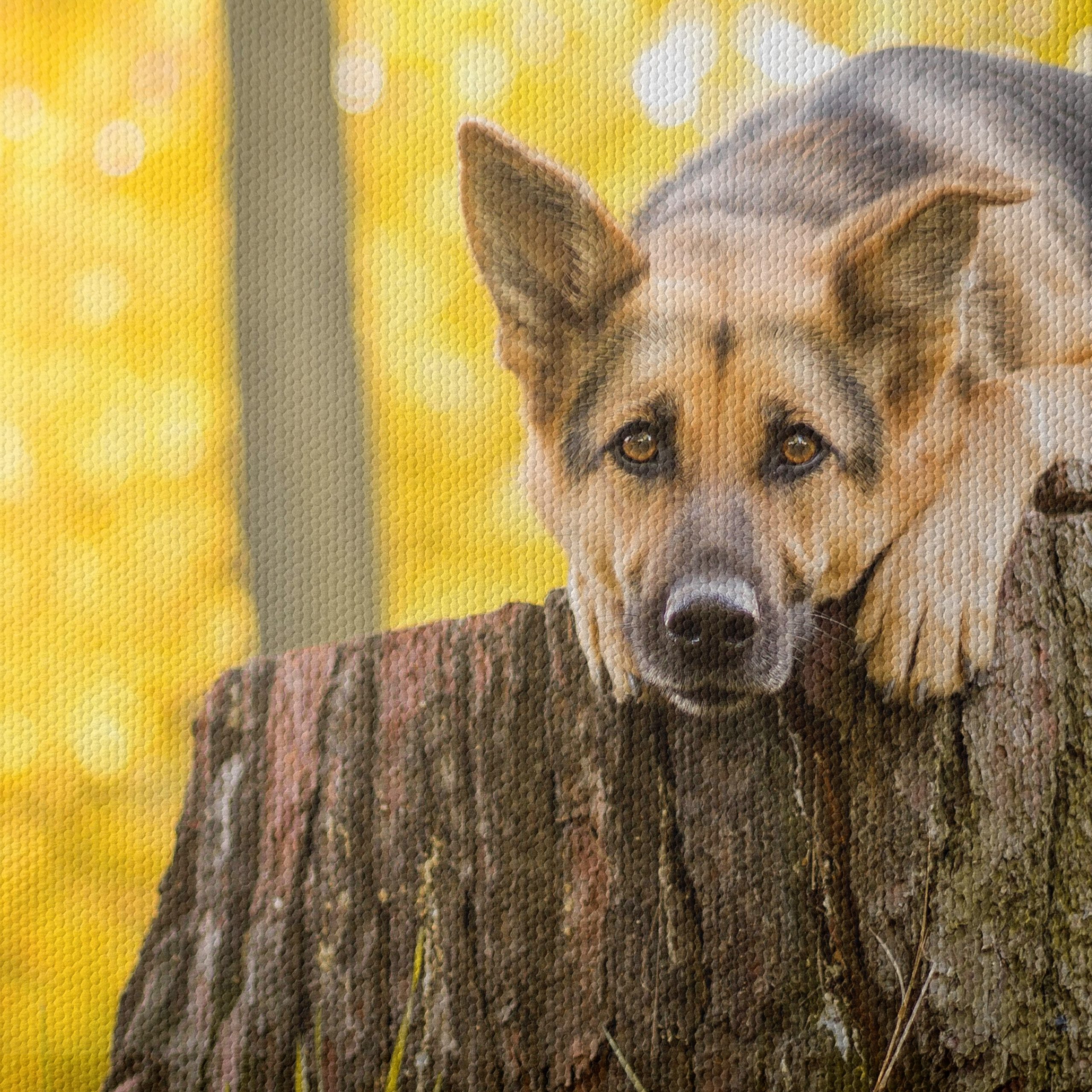 Loyal Dog Resting on Tree Stump - Image 4