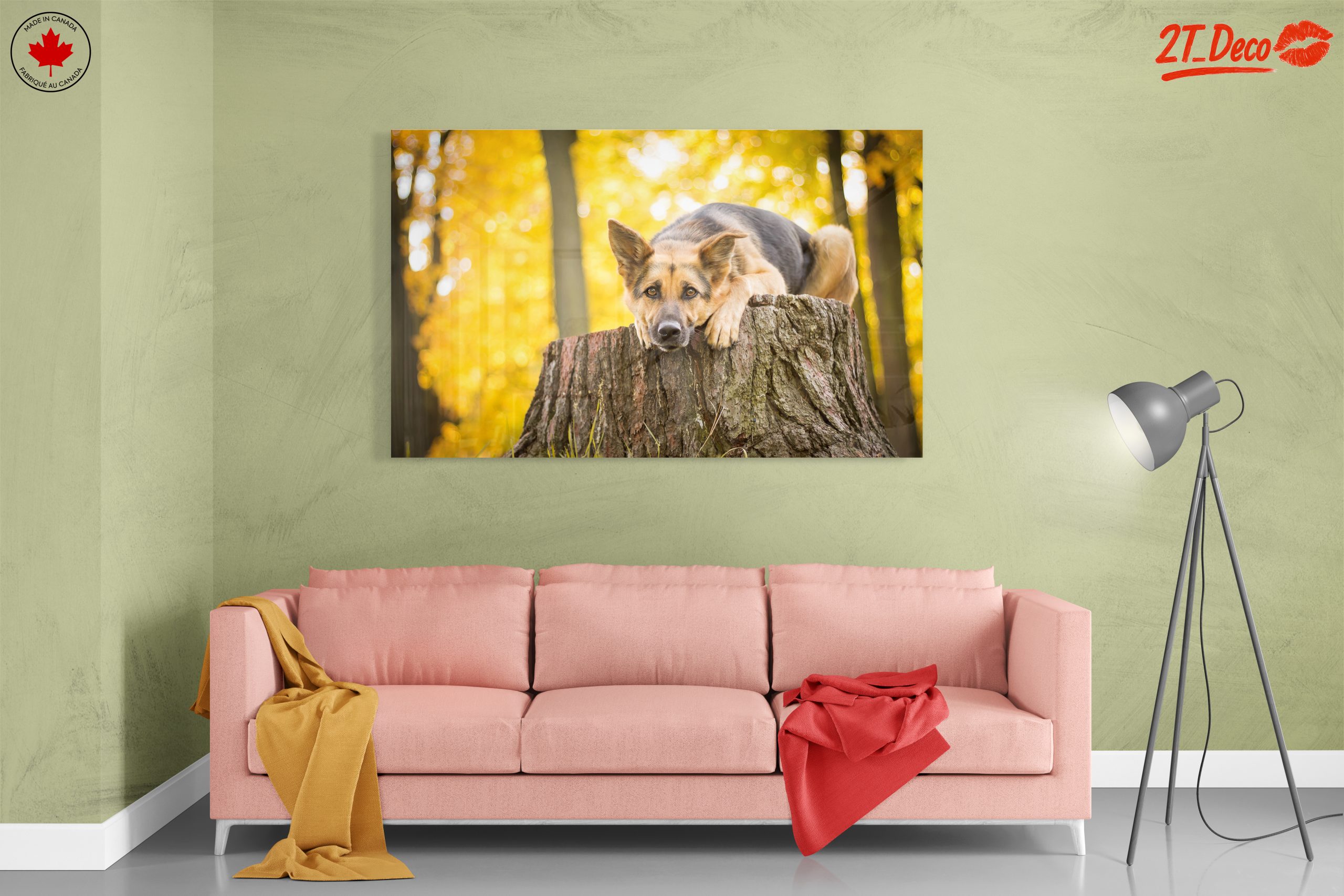Loyal Dog Resting on Tree Stump - Image 7