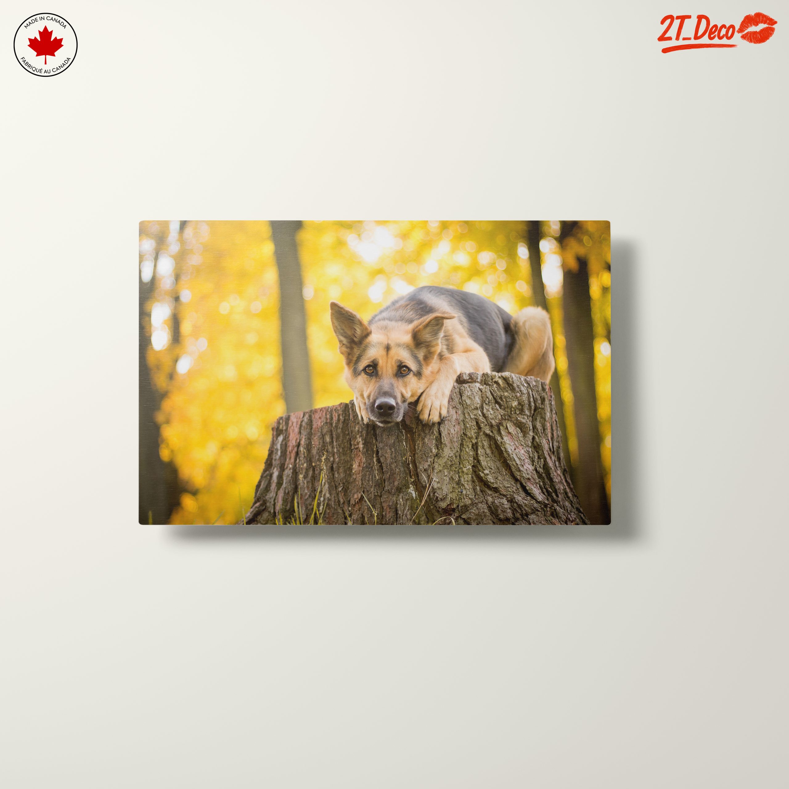 Loyal Dog Resting on Tree Stump - Image 10