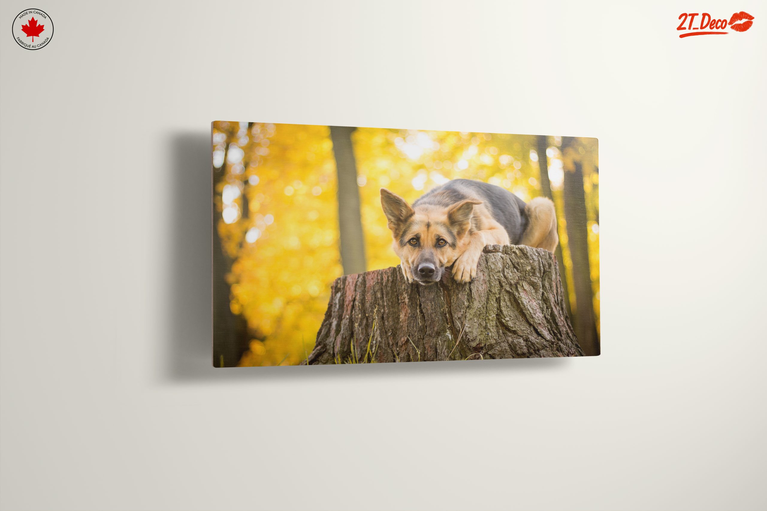 Loyal Dog Resting on Tree Stump - Image 13