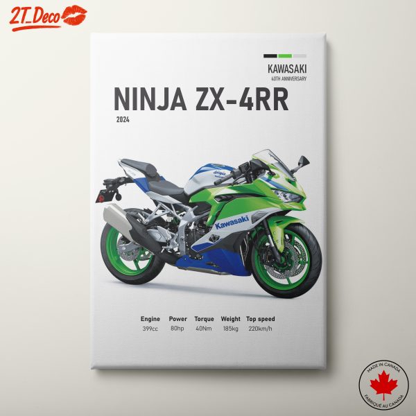 Kawasaki Ninja ZX-4RR Motorcycle Art
