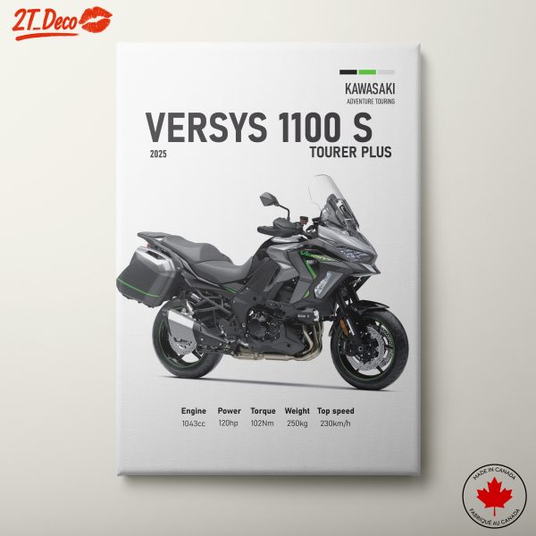 Kawasaki Versys 1100 Adventure Motorcycle Art