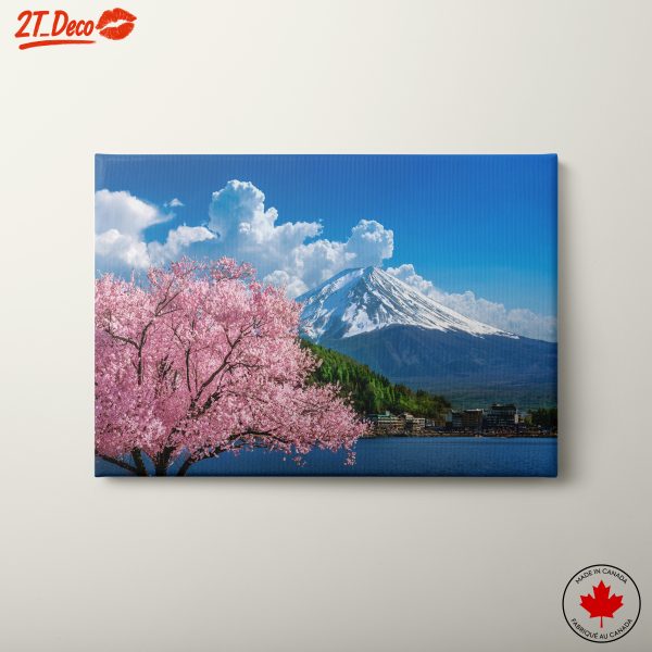 Cherry Blossoms with Mount Fuji