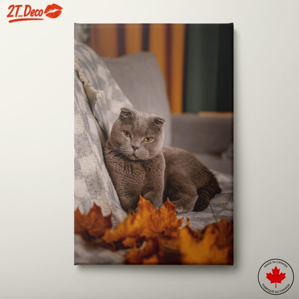 Charming Cat Wall Art