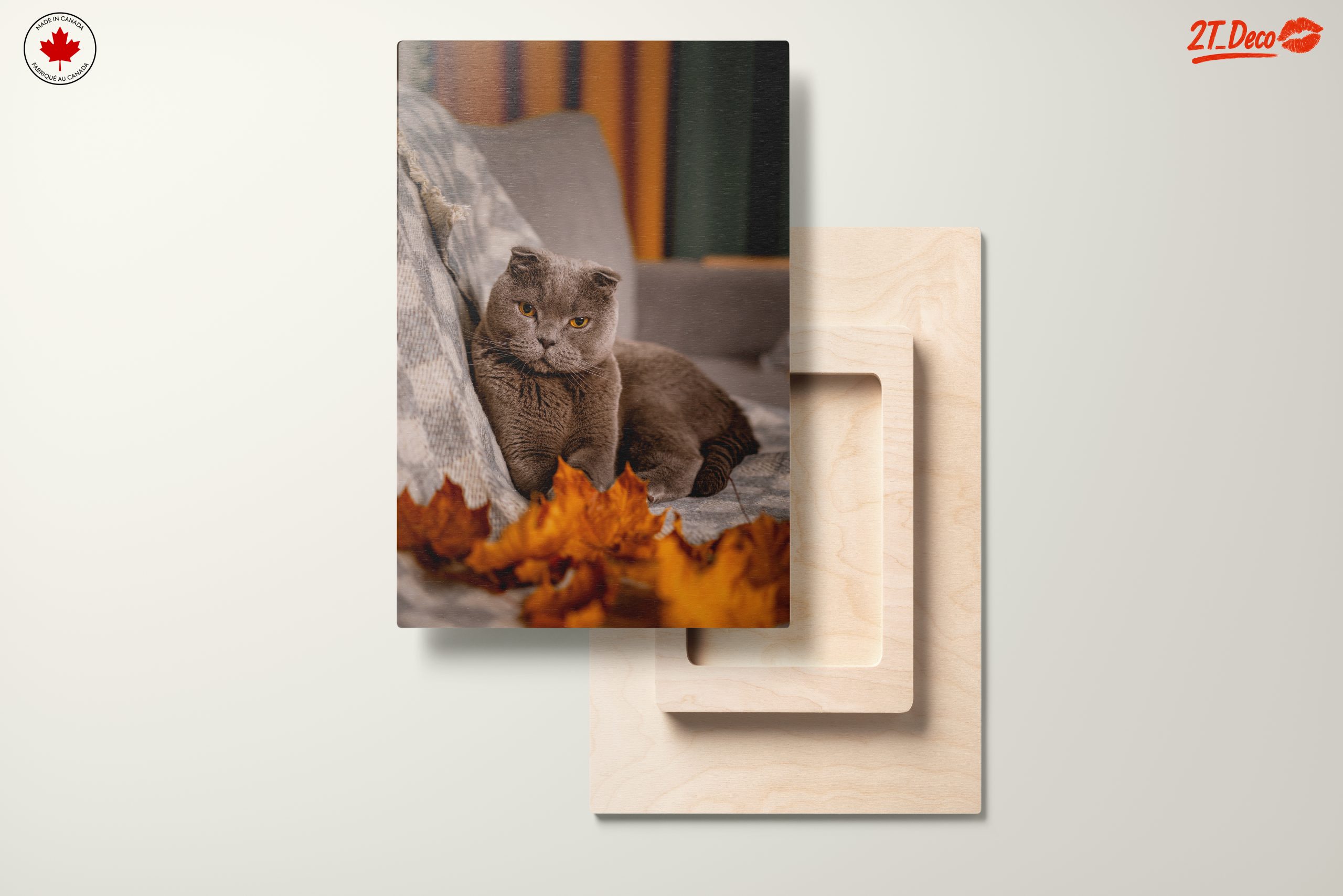 Charming Cat Wall Art - Image 11