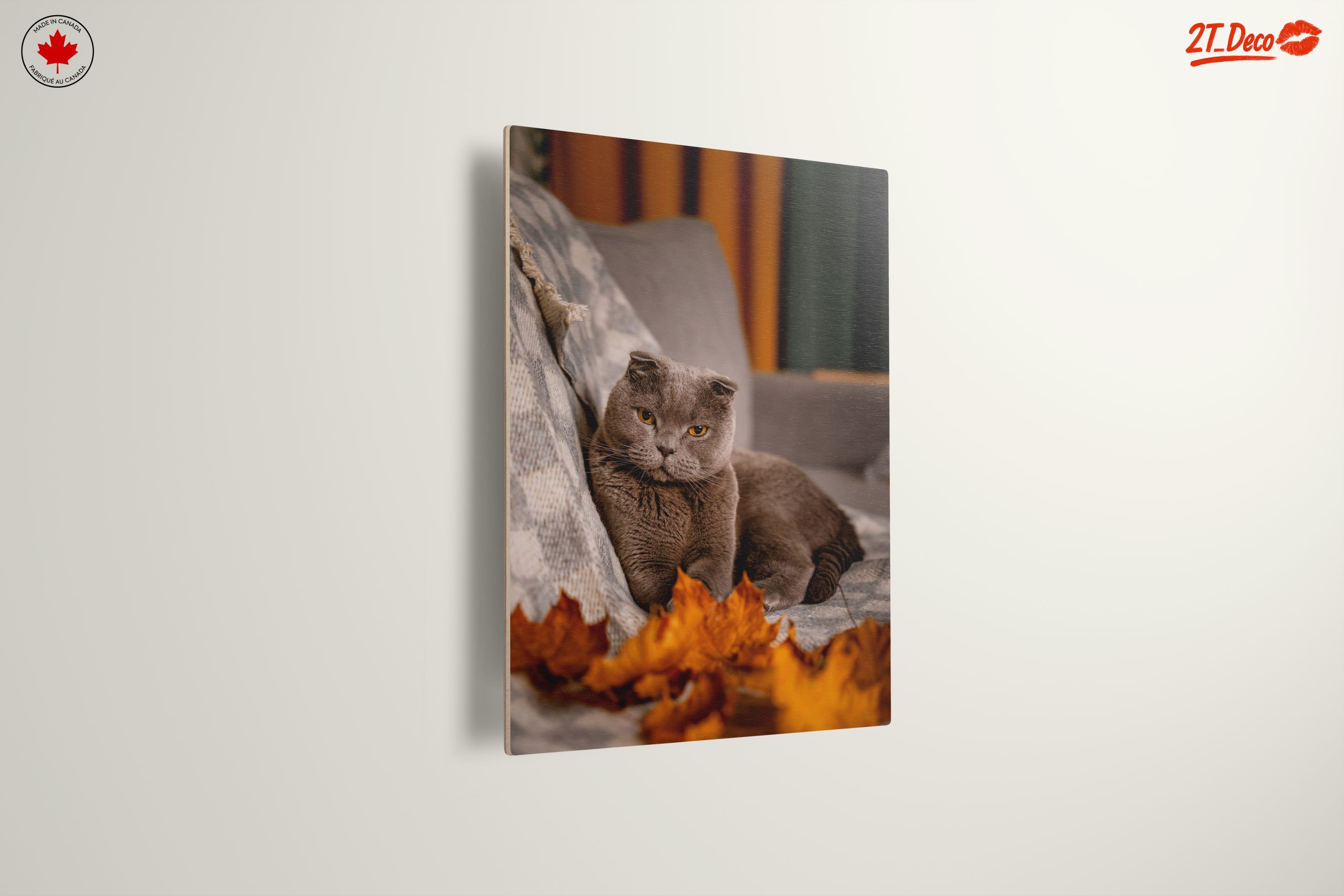 Charming Cat Wall Art - Image 13