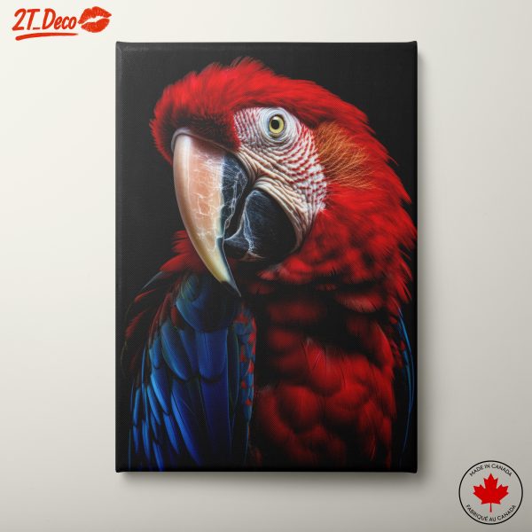 Vibrant Parrot Portrait Wall Art