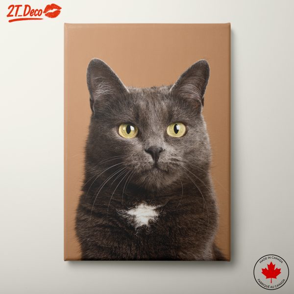 Gray Cat Portrait with Yellow Eyes