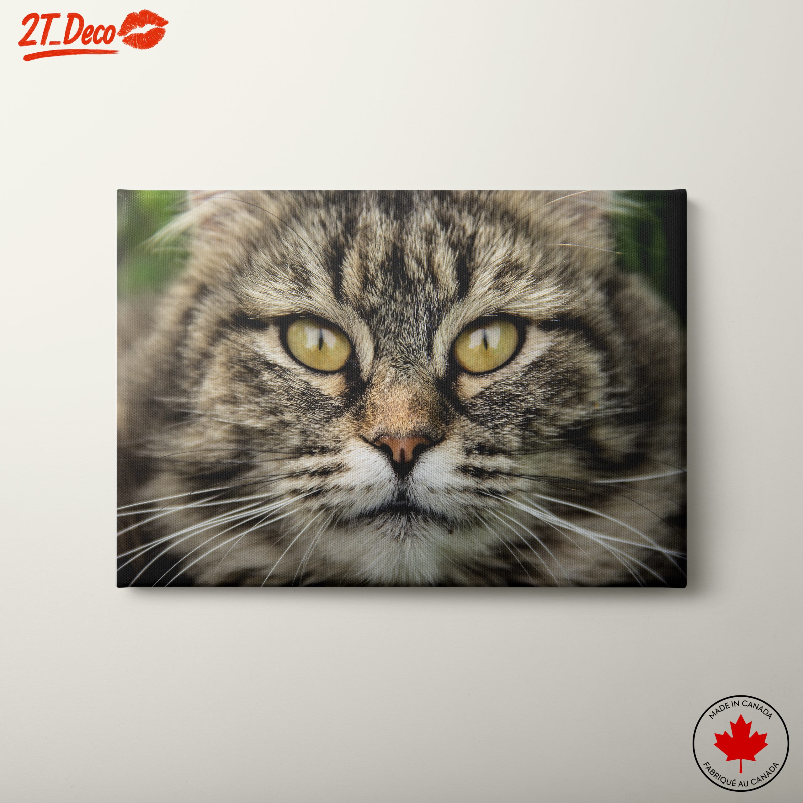 Close-Up Cat Portrait with Striking Features