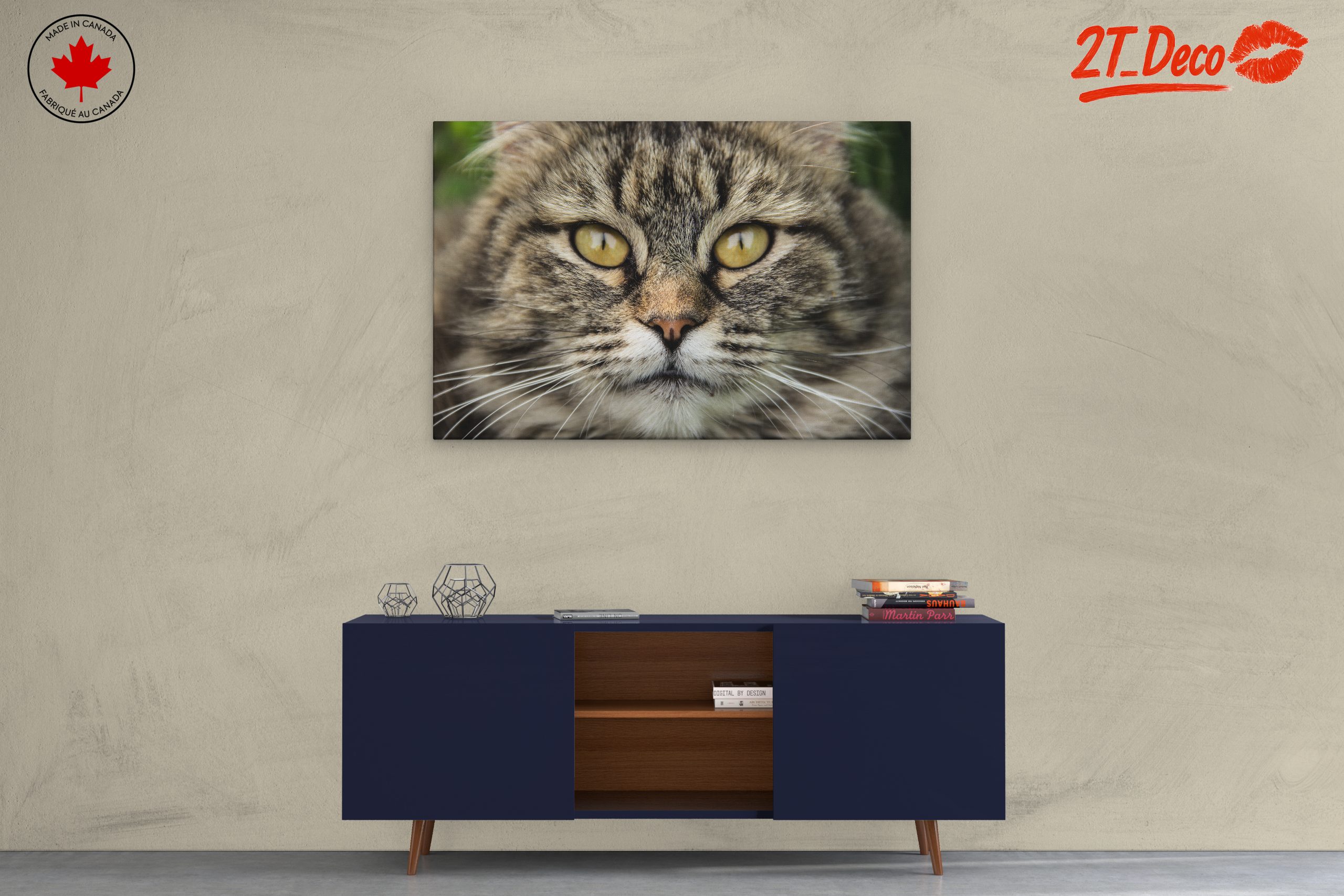 Close-Up Cat Portrait with Striking Features - Image 3