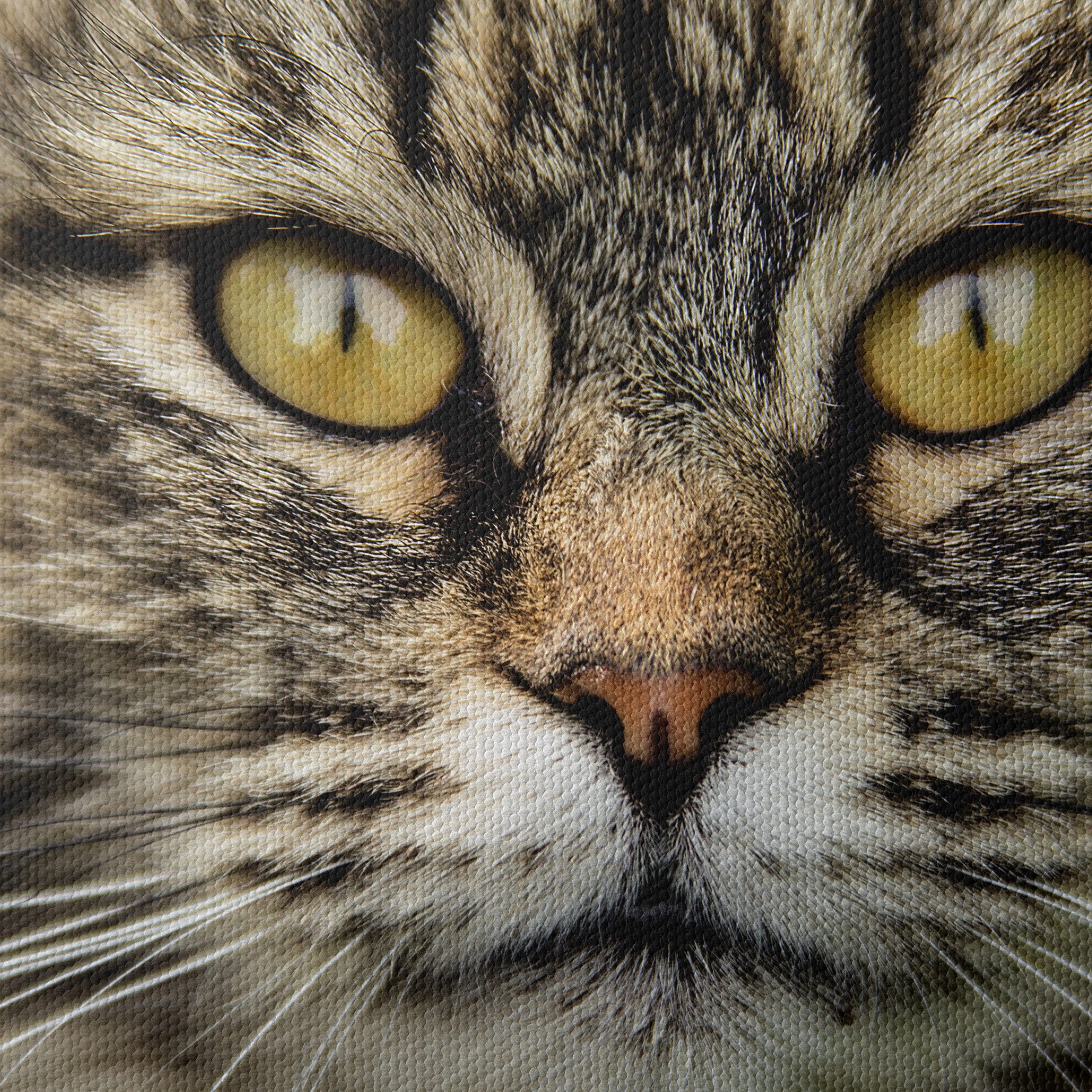 Close-Up Cat Portrait with Striking Features - Image 4