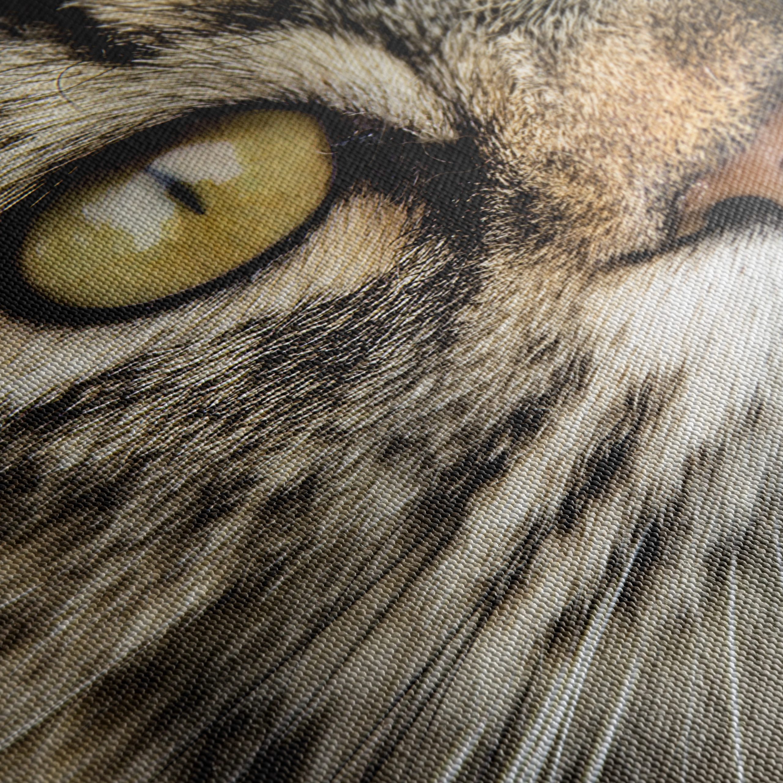 Close-Up Cat Portrait with Striking Features - Image 5