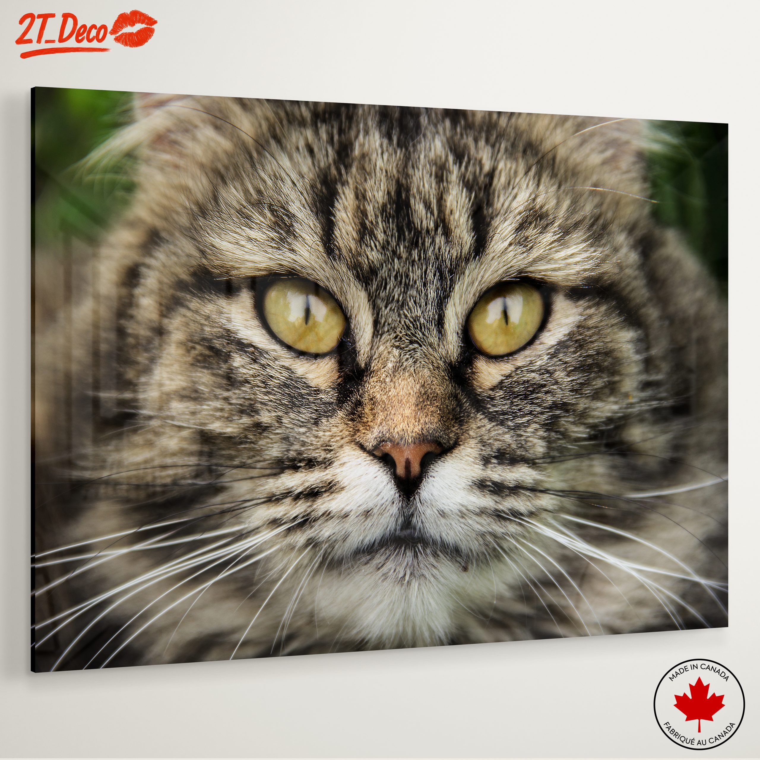 Close-Up Cat Portrait with Striking Features - Image 6