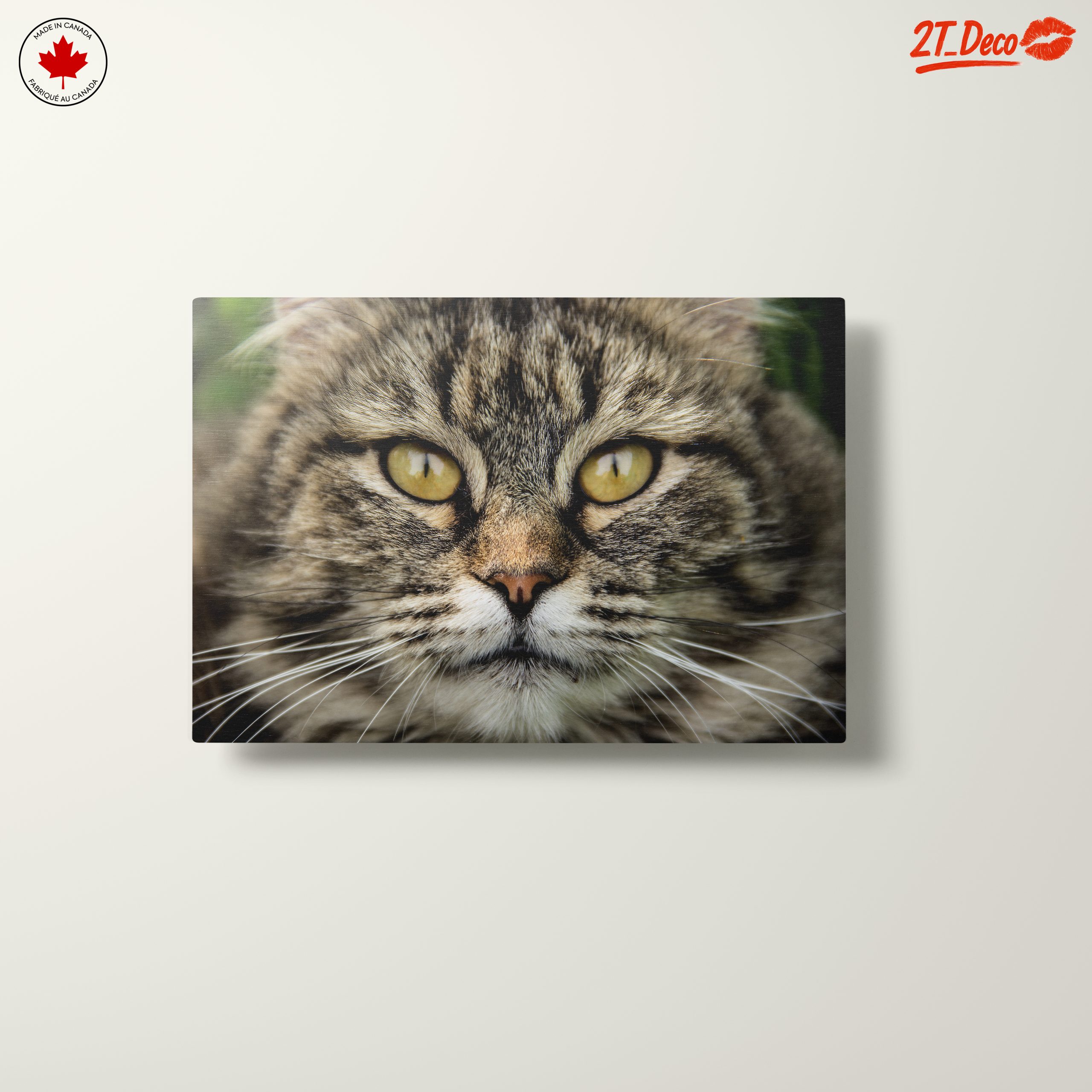 Close-Up Cat Portrait with Striking Features - Image 10