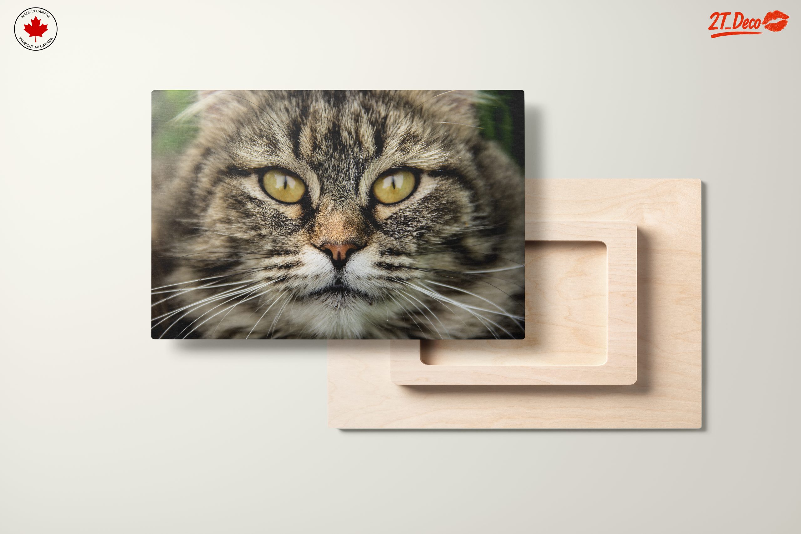 Close-Up Cat Portrait with Striking Features - Image 11