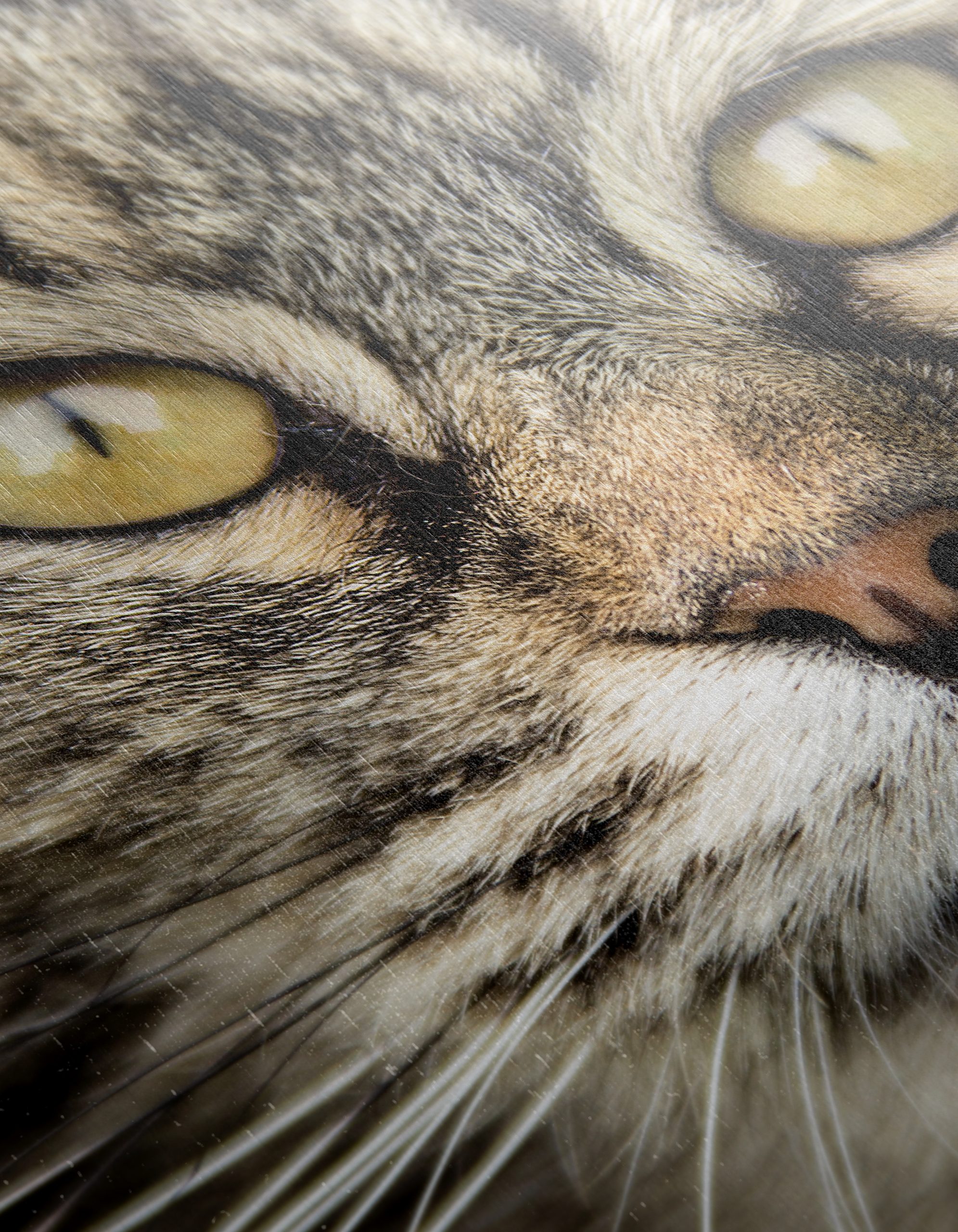 Close-Up Cat Portrait with Striking Features - Image 12