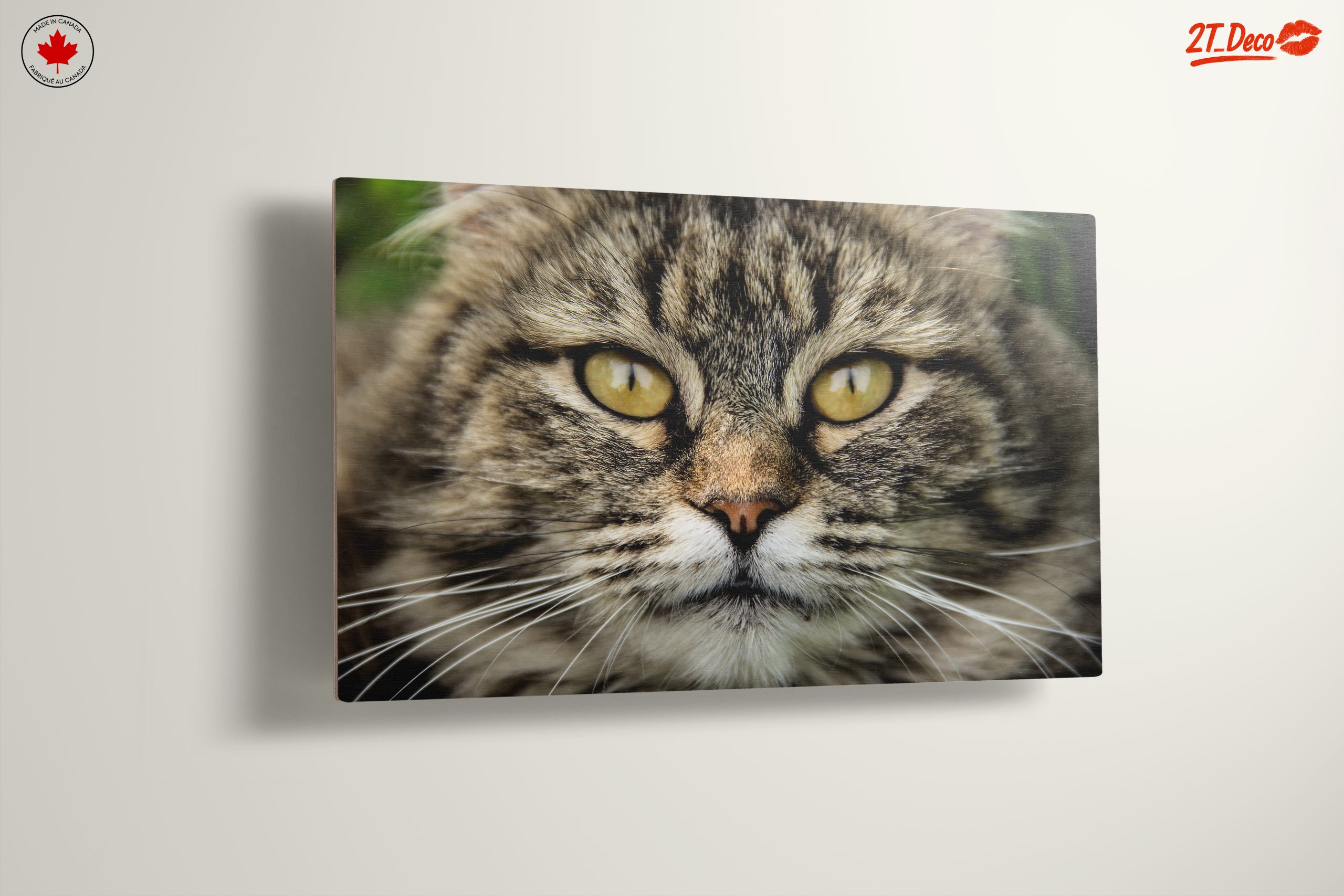 Close-Up Cat Portrait with Striking Features - Image 13