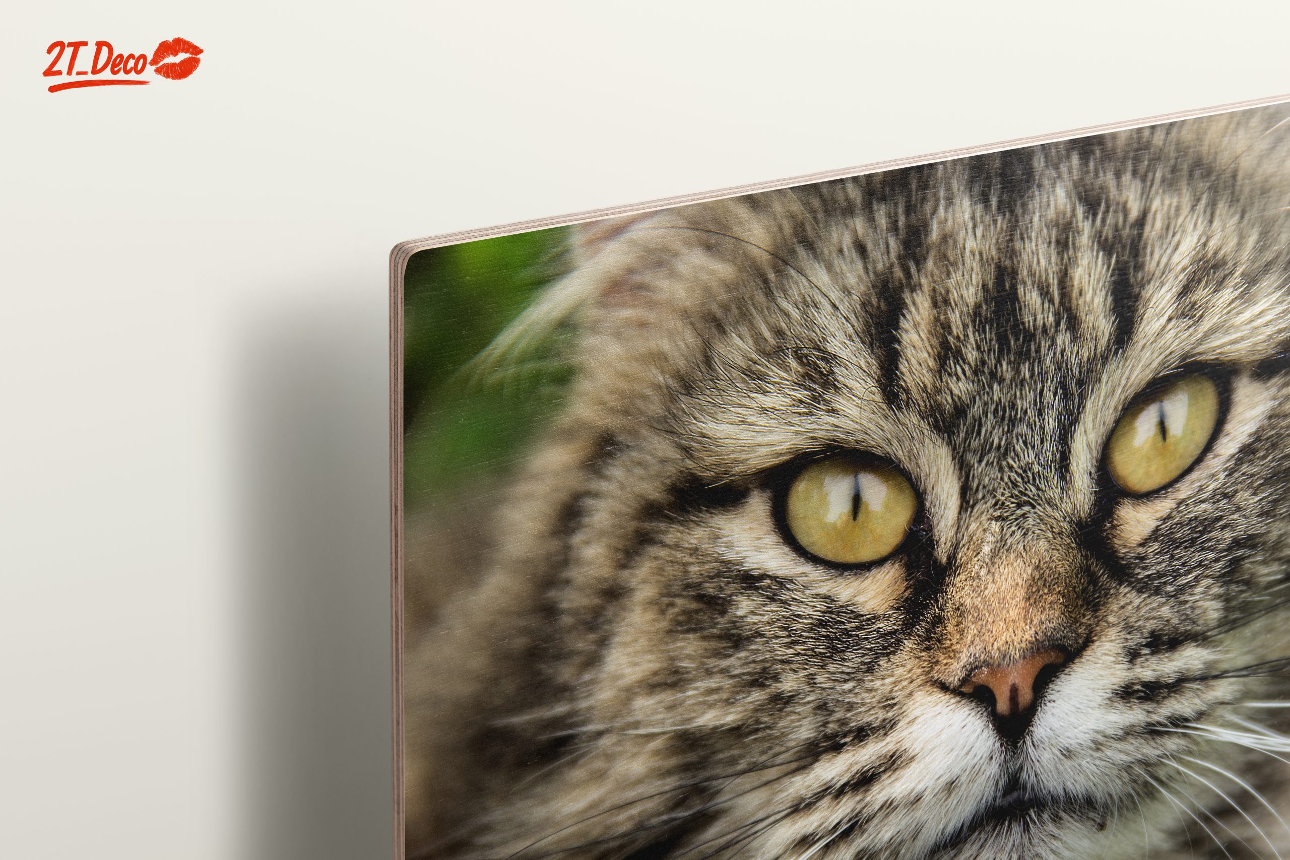 Close-Up Cat Portrait with Striking Features - Image 15