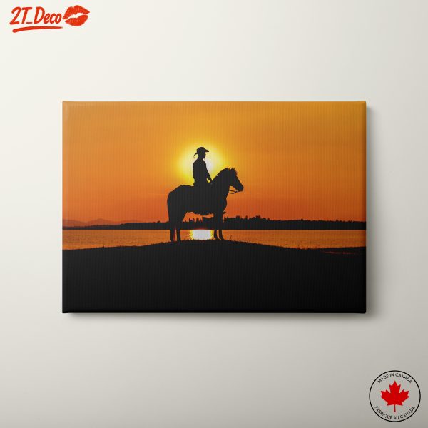 Silhouette of a Horse at Sunset