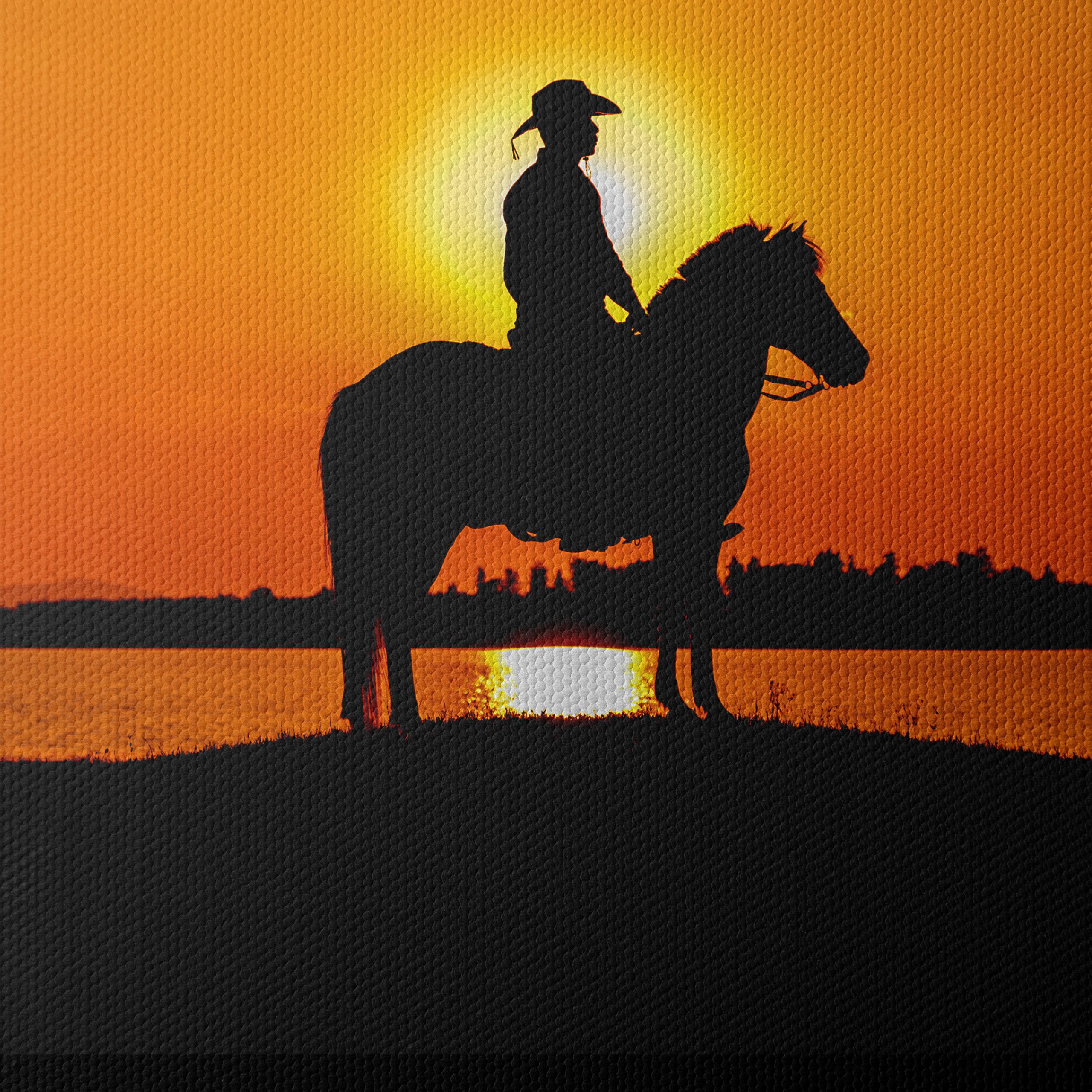 Silhouette of a Horse at Sunset - Image 4
