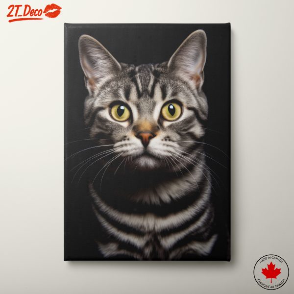 Striking Cat Portrait on Black Background